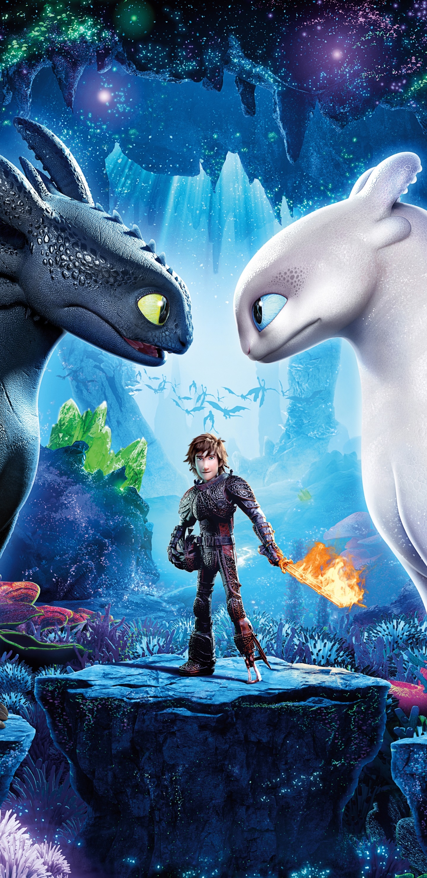 Movie How to Train Your Dragon: The Hidden World, Toothless (How To Train Your Dragon), Hiccup (How To Train Your Dragon), White Night Fury, 1440x2960, Phone HD Wallpaper
