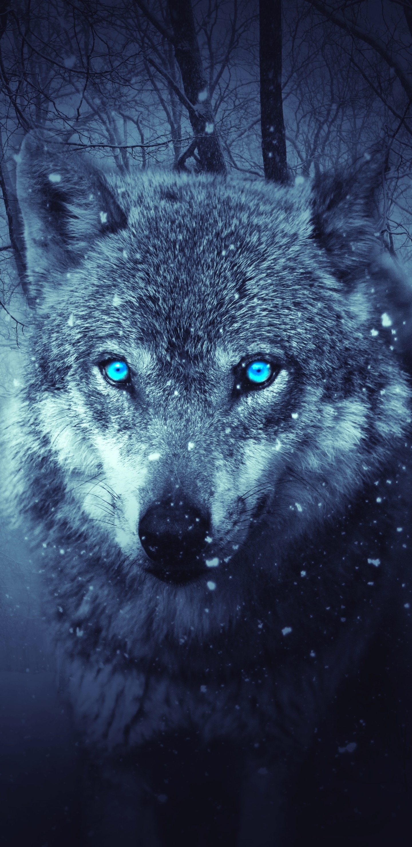 Fantasy Wolf, Forest, Snowfall, Blue Eyes, 1440x2960, Phone HD Wallpaper