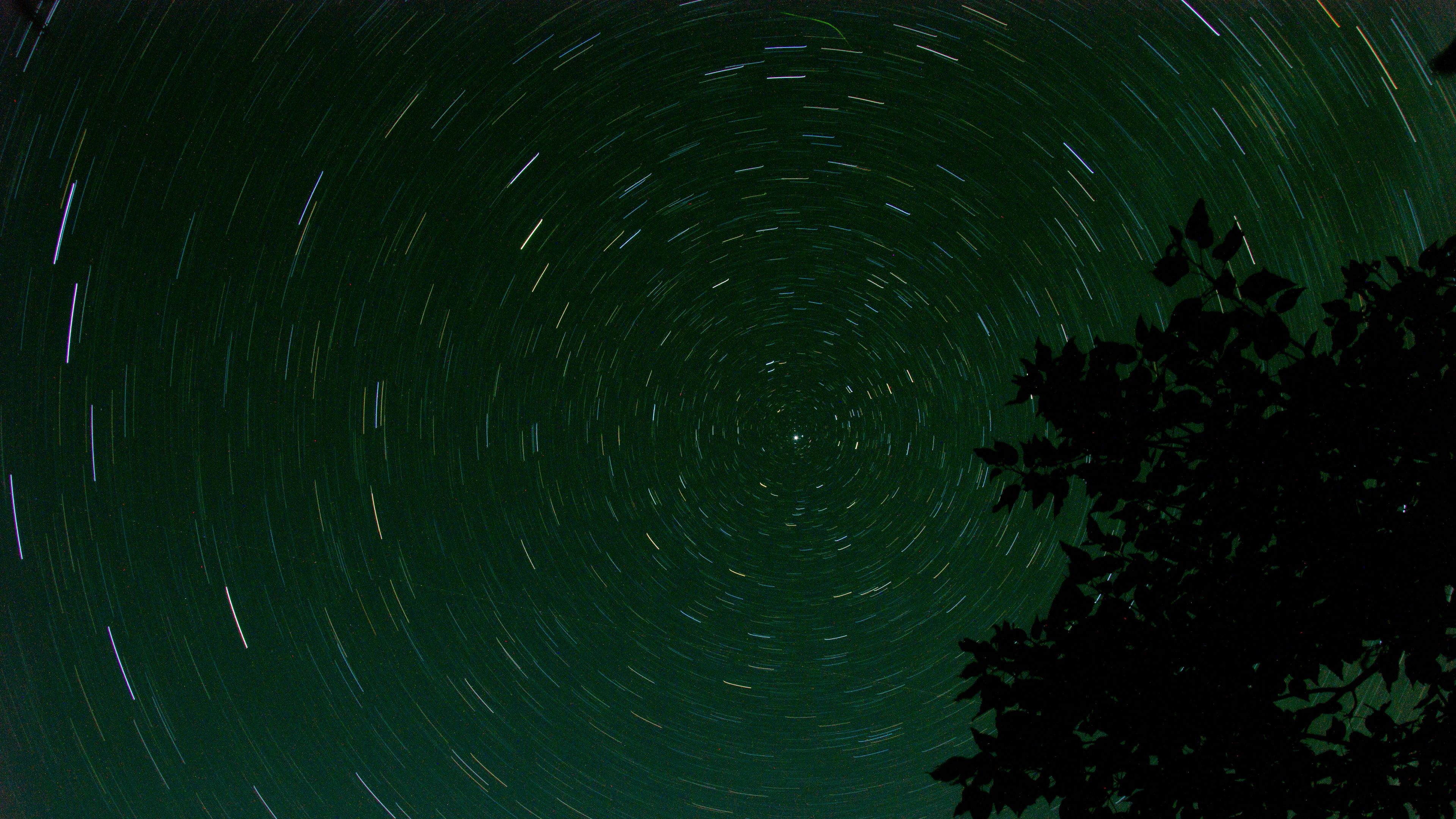 stars, starry sky, branch, circle, 4k, HD Wallpaper