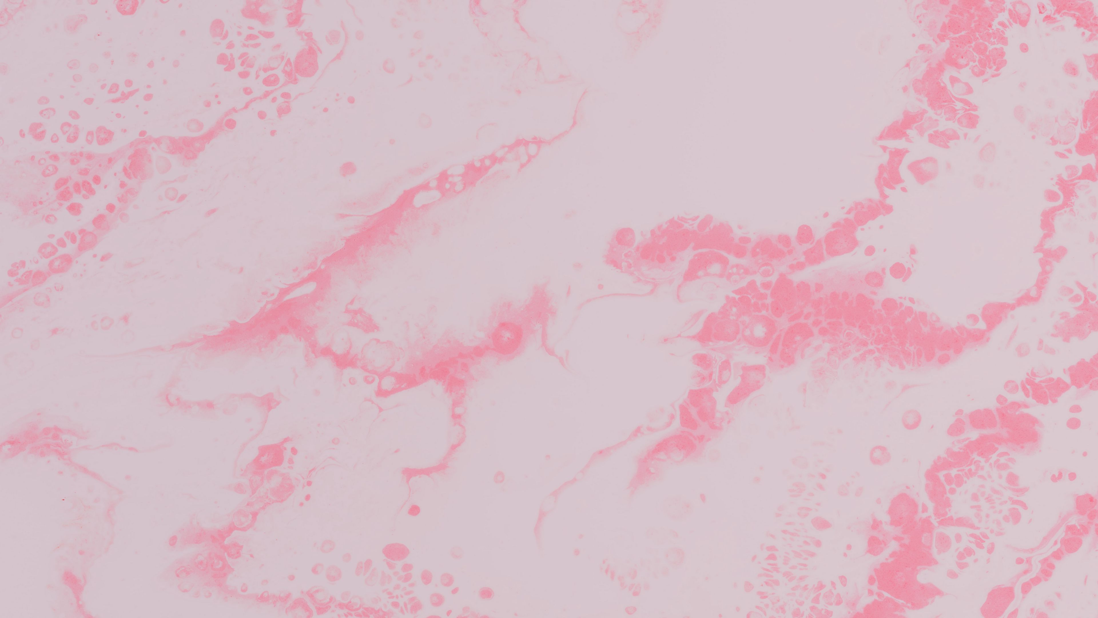 paint, liquid, spots, stains, fluid art, pink, 4k, HD Wallpaper