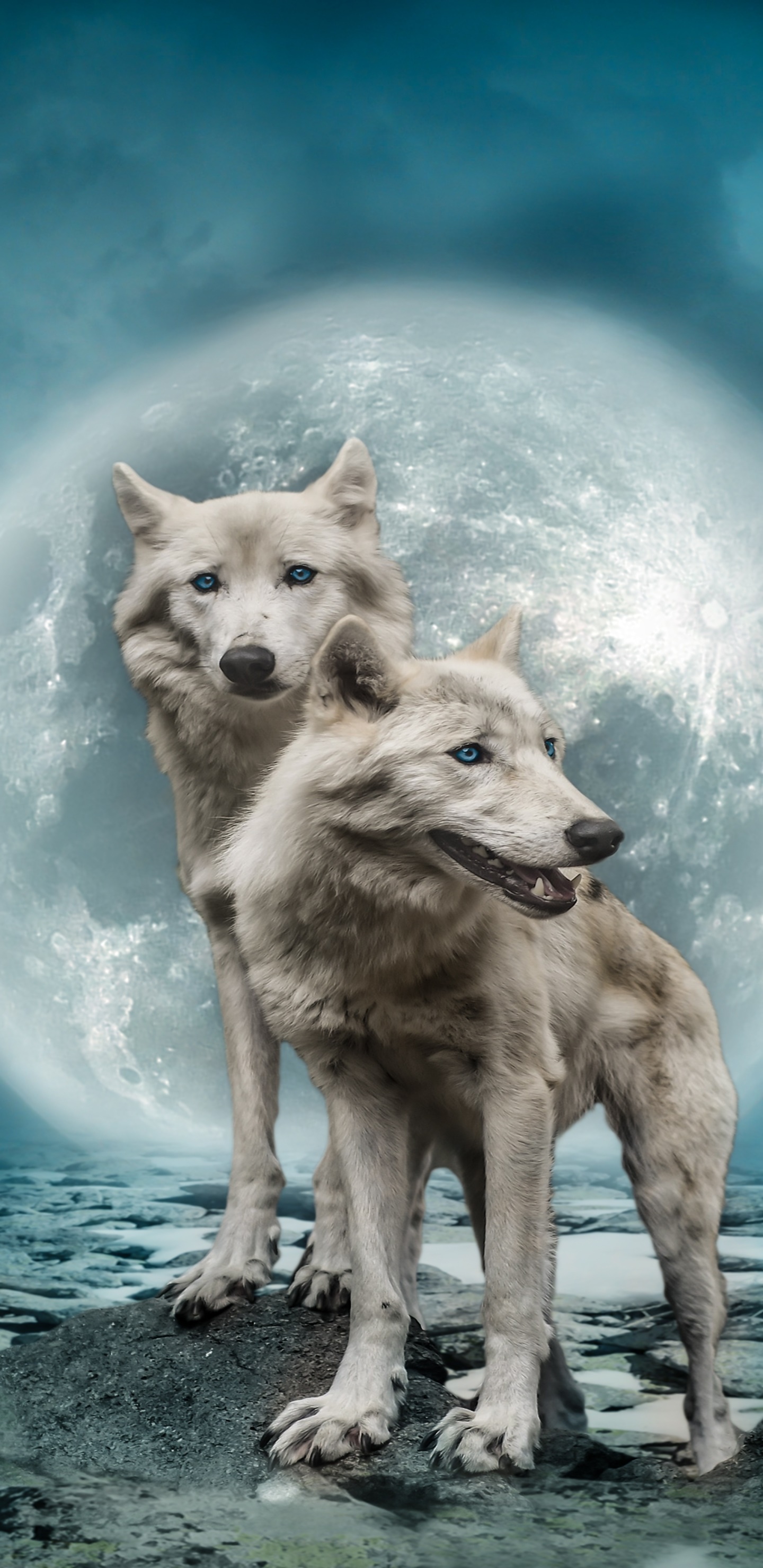 Animal Wolf, Blue Eyes, Manipulation, Cloud, Moon, 1440x2960, Phone HD Wallpaper