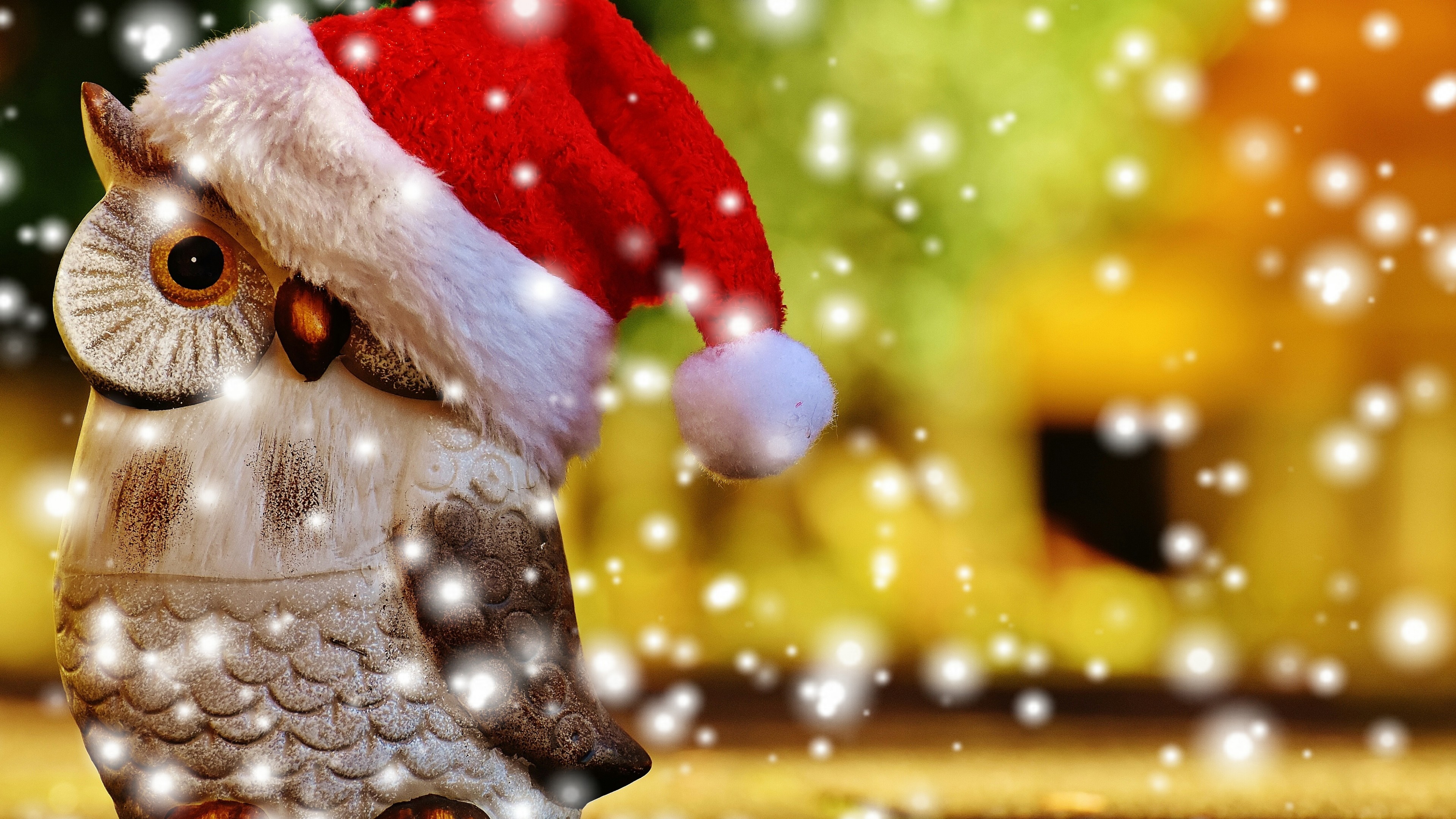Christmas, New Year, owl, 4K, HD Wallpaper