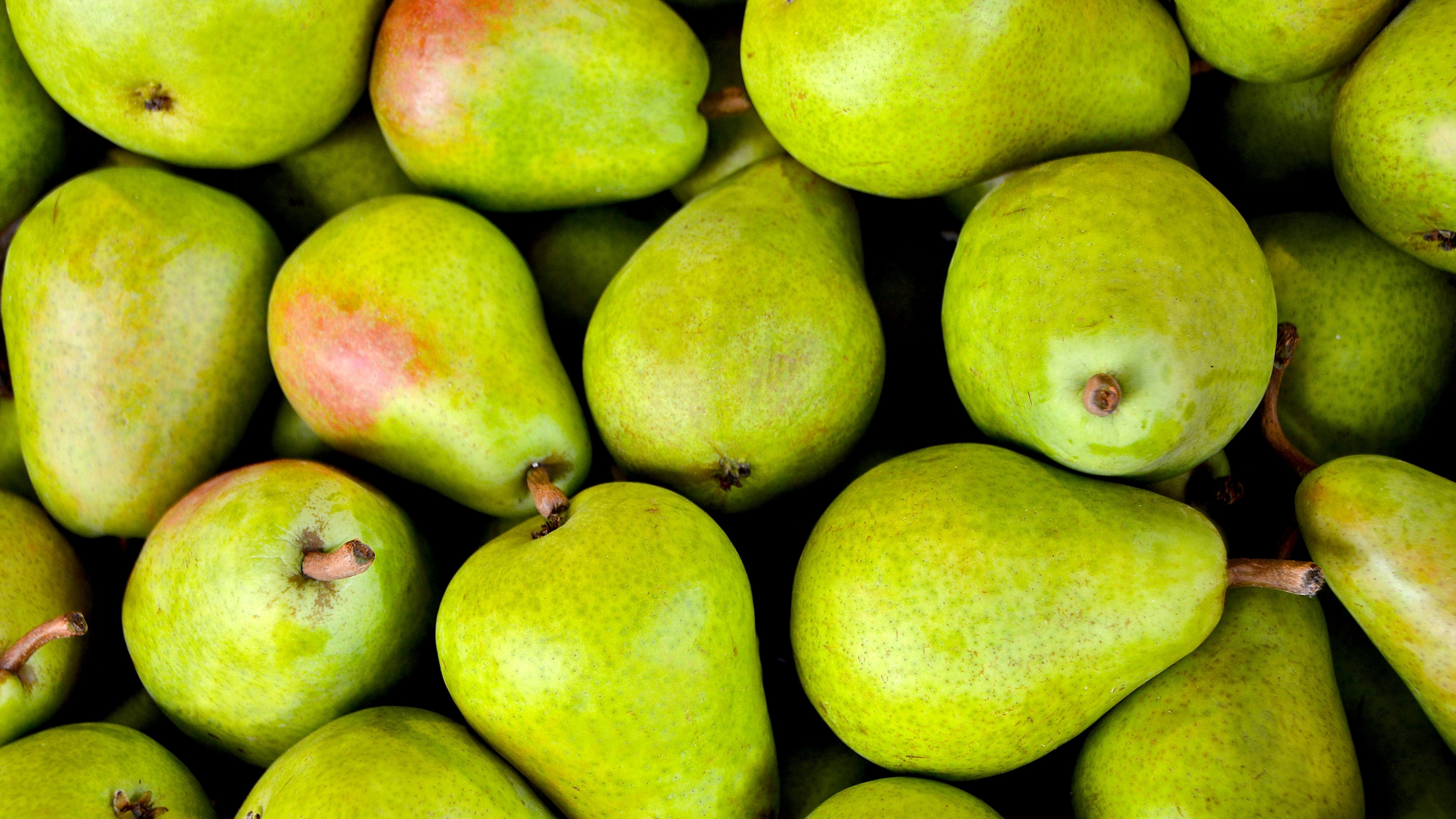 pear, fruit, green, 4K, HD Wallpaper