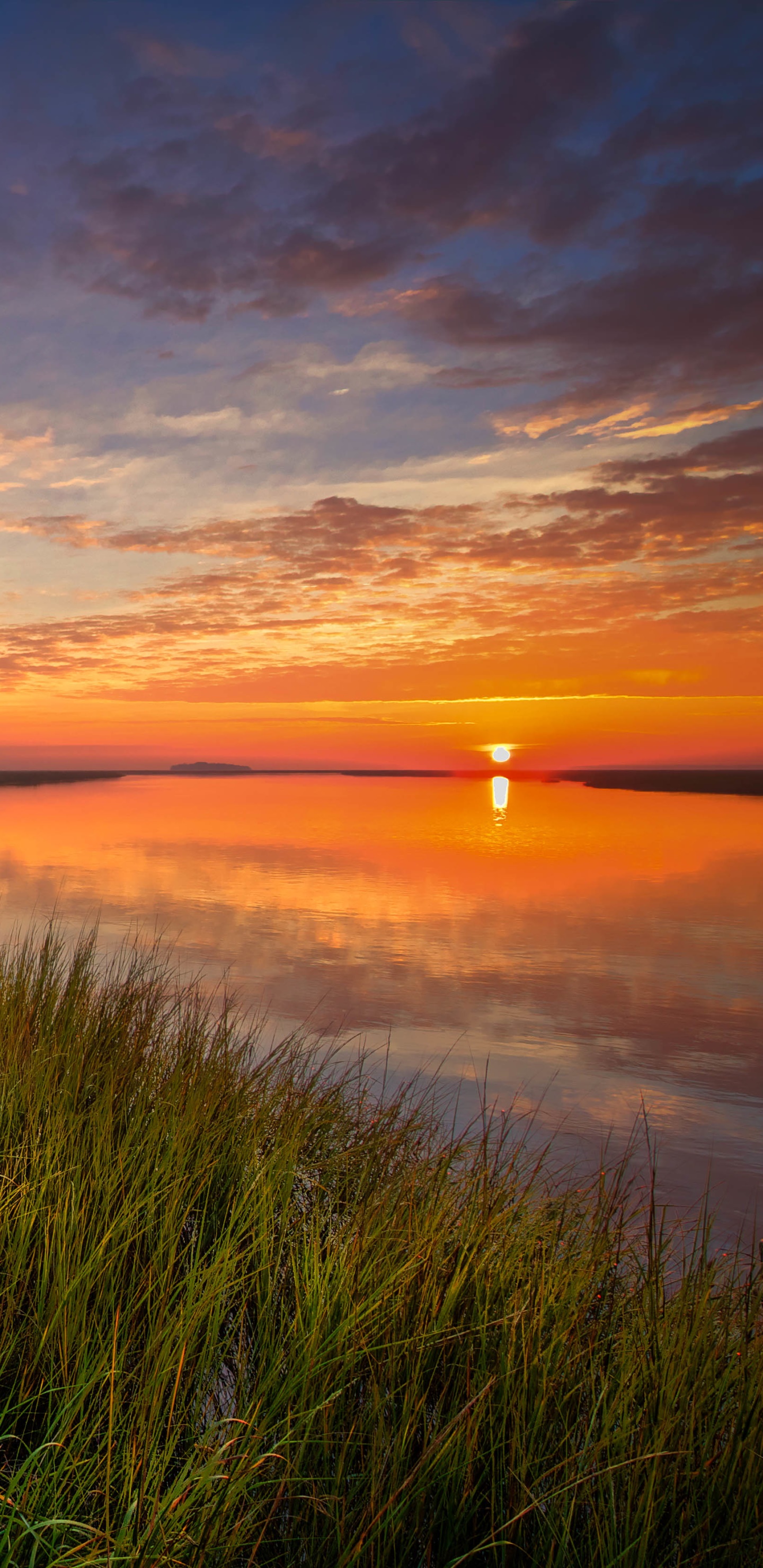 Earth Sunset, Lake, Tree, Horizon, 1440x2960, Phone HD Wallpaper