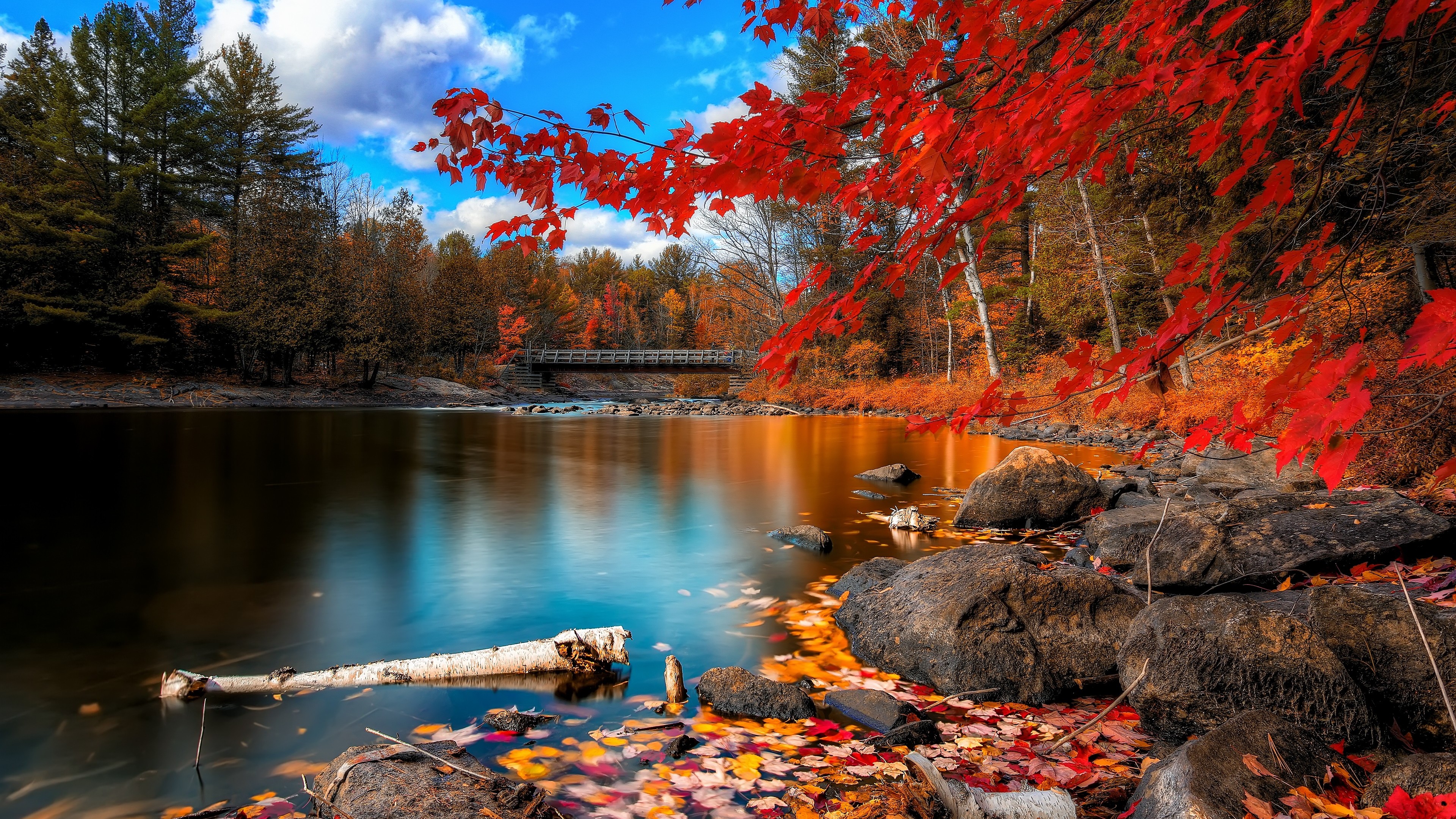 Autumn, lake, forest, 4k, HD Wallpaper