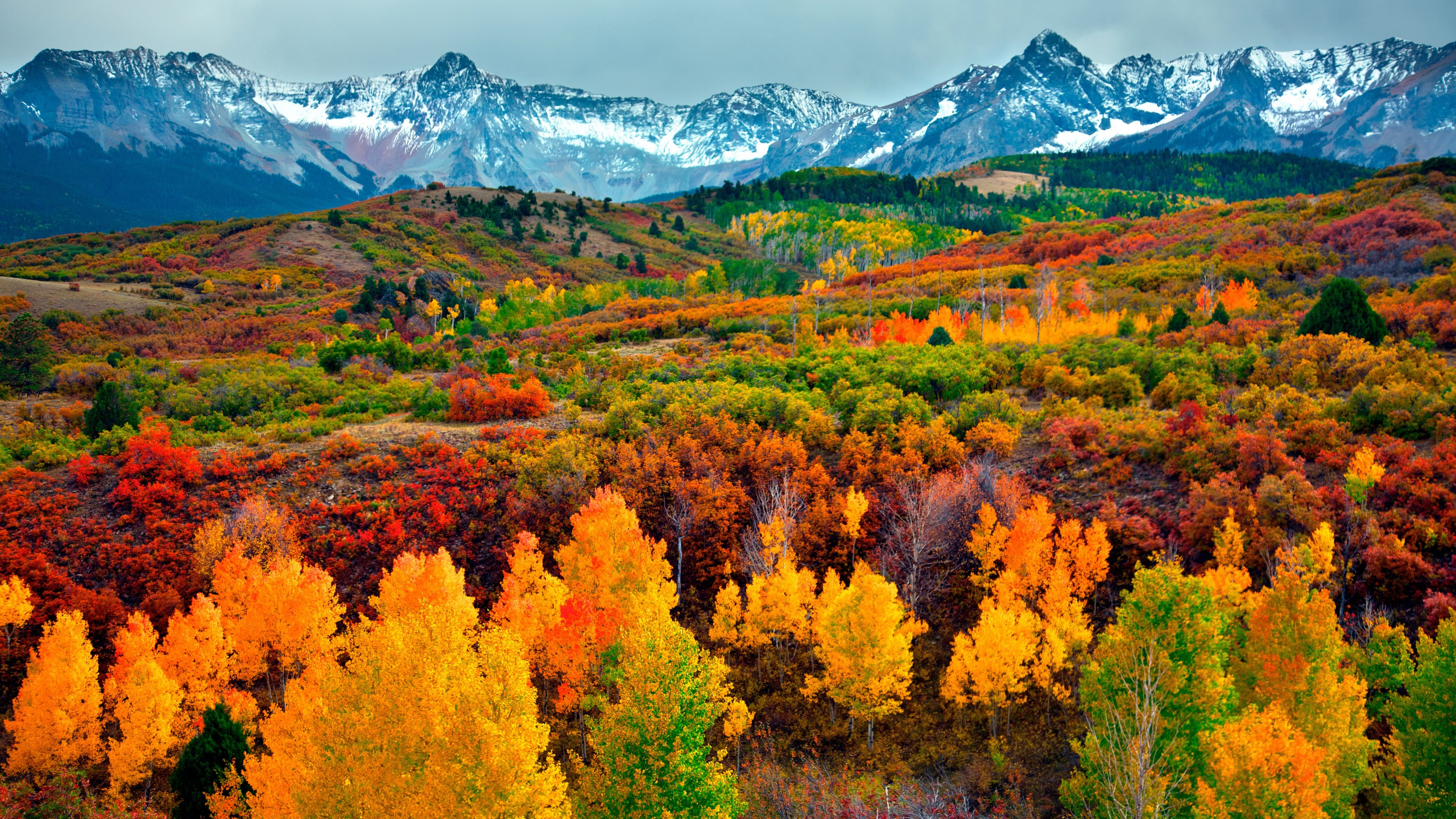 autumn, forest, mountain, 4K, HD Wallpaper
