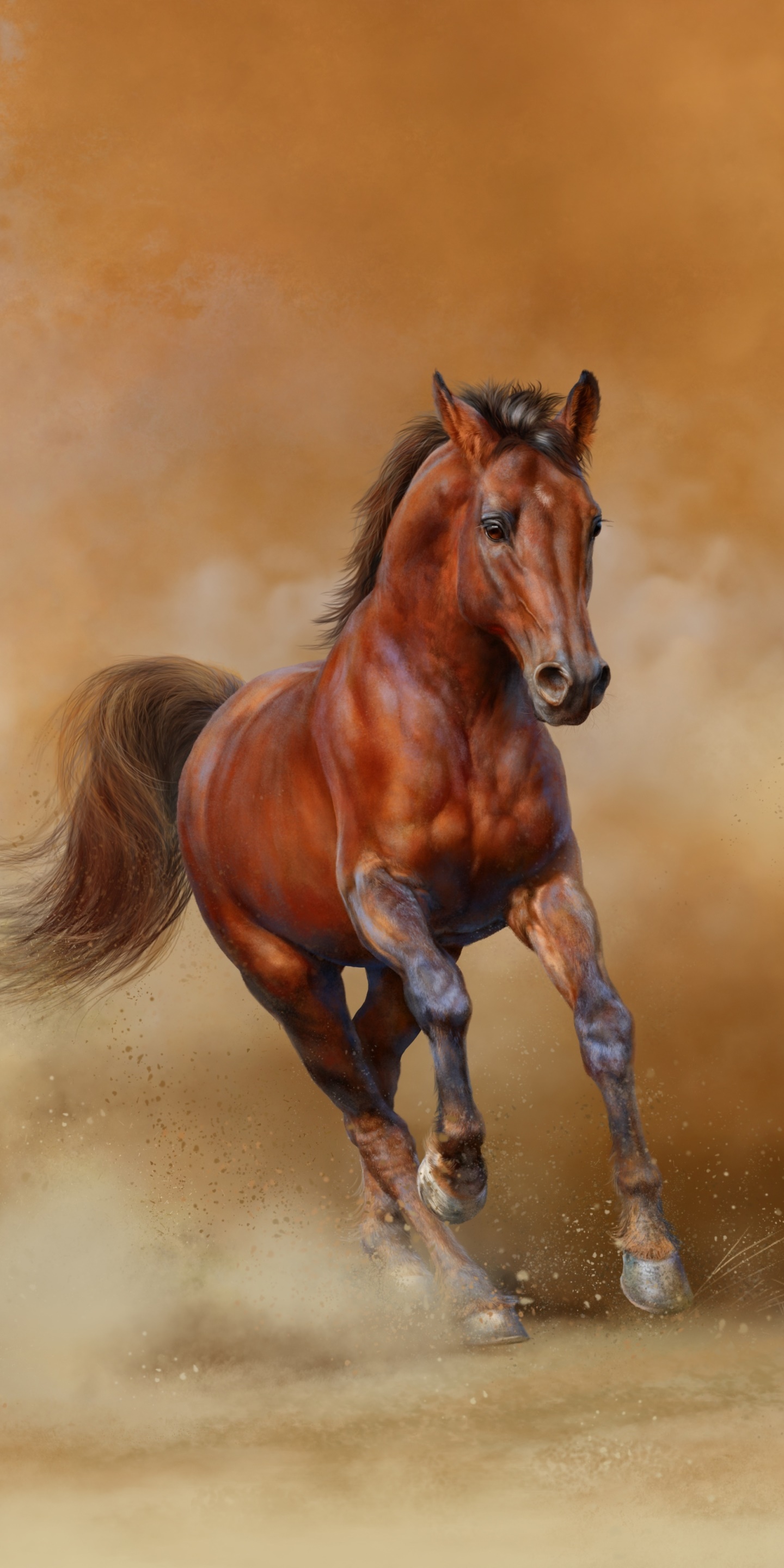 Animal Horse, 1440x2880, Phone HD Wallpaper