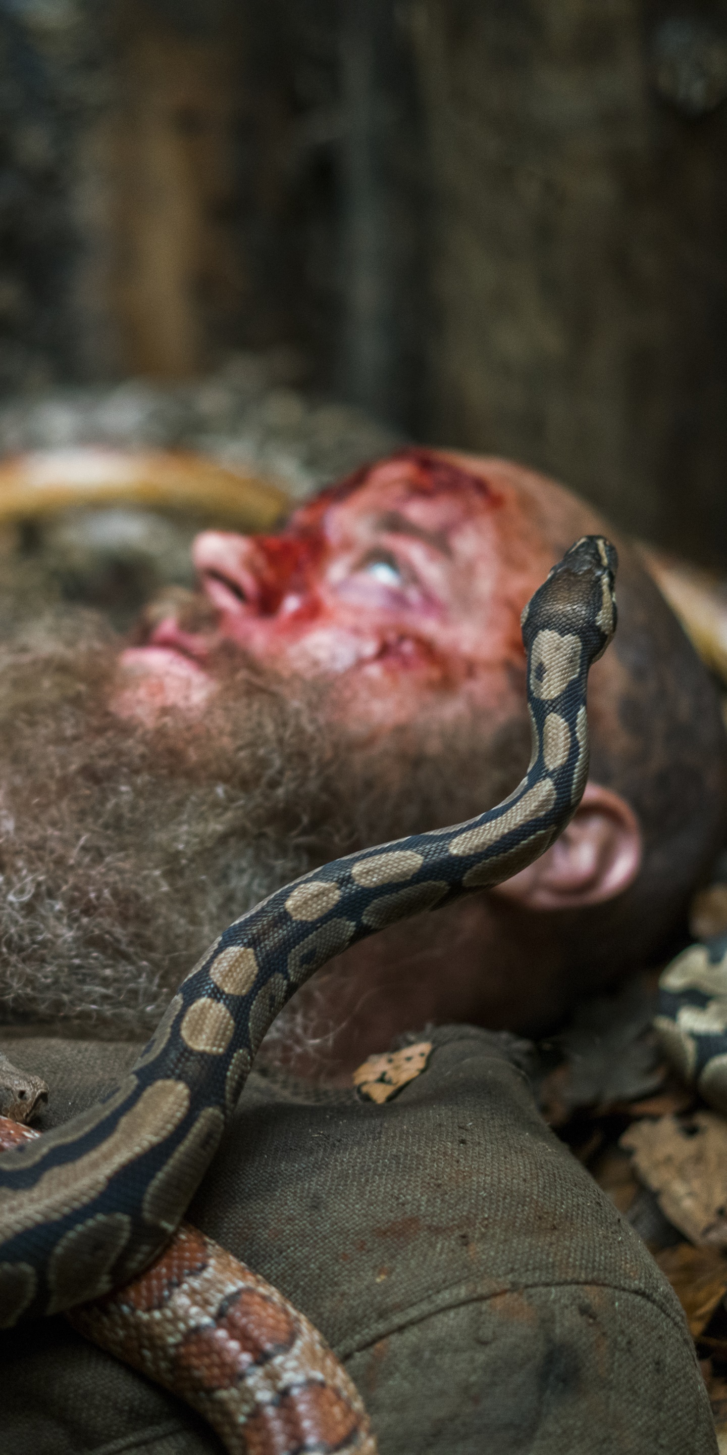 TV Show Vikings, Snake, 1440x2880, Phone HD Wallpaper