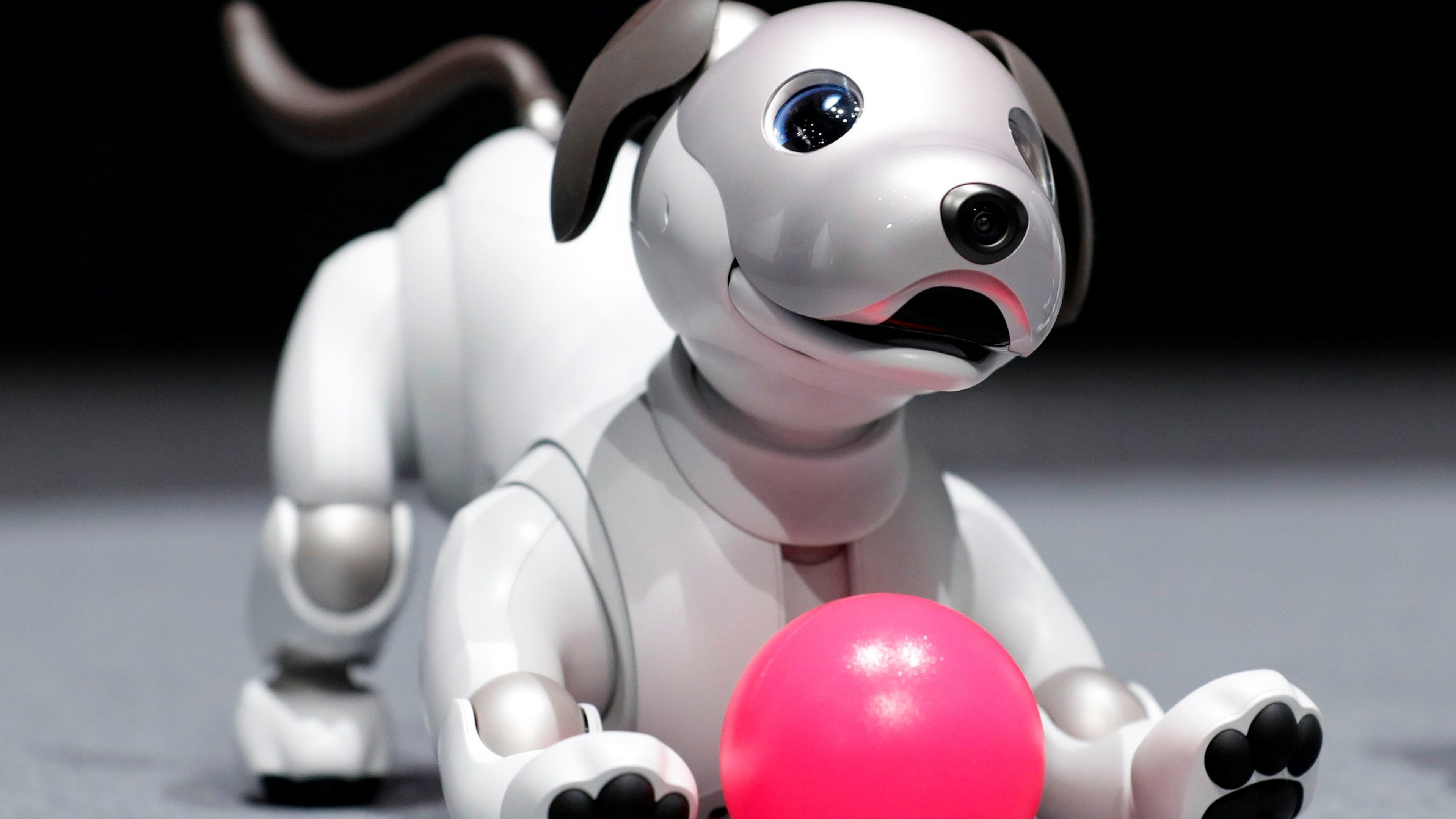 Sony Aibo, robot, dog, 4k, HD Wallpaper