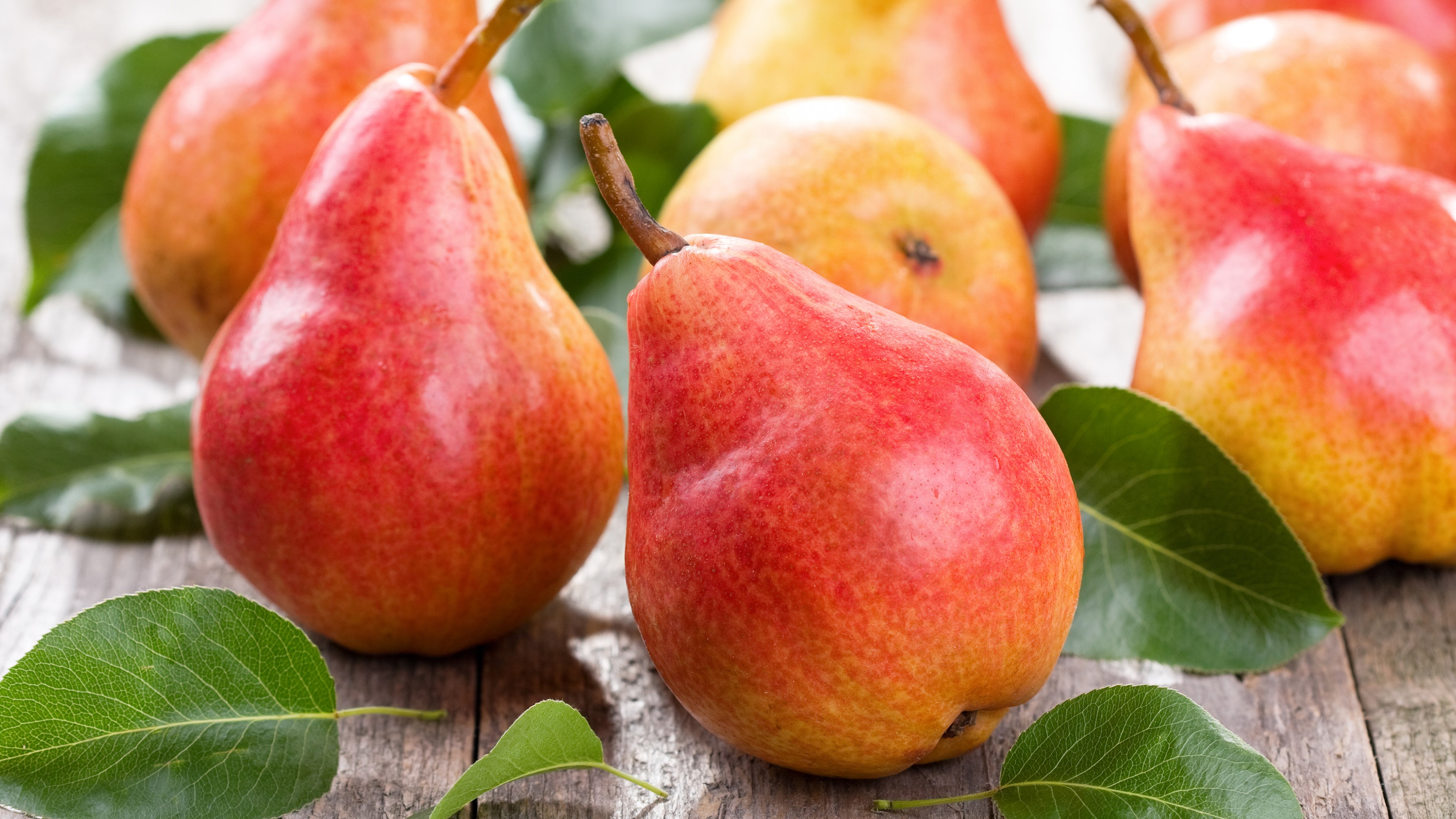 pear, fruit, 4k, HD Wallpaper