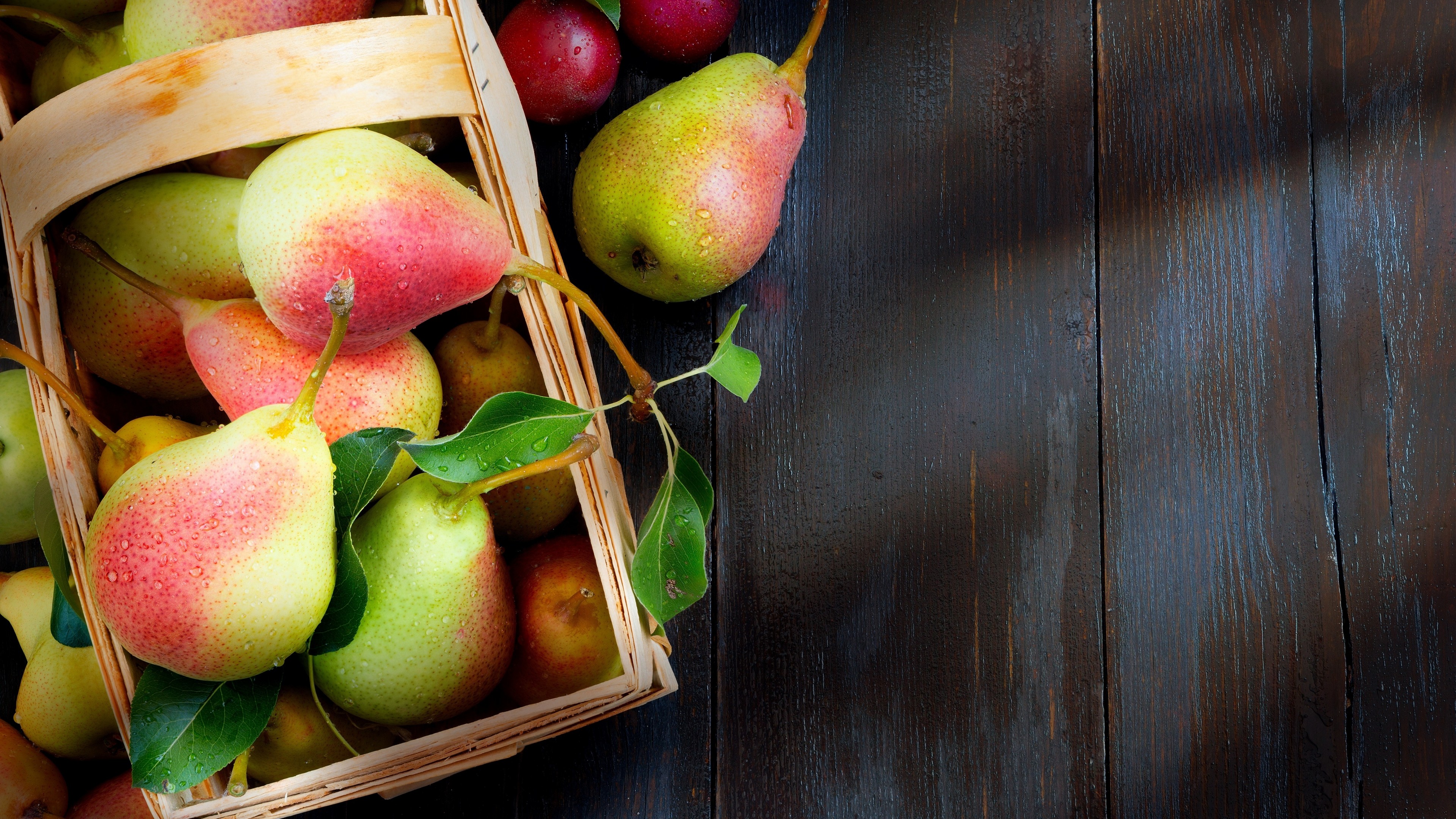 pear, fruit, 4k, HD Wallpaper