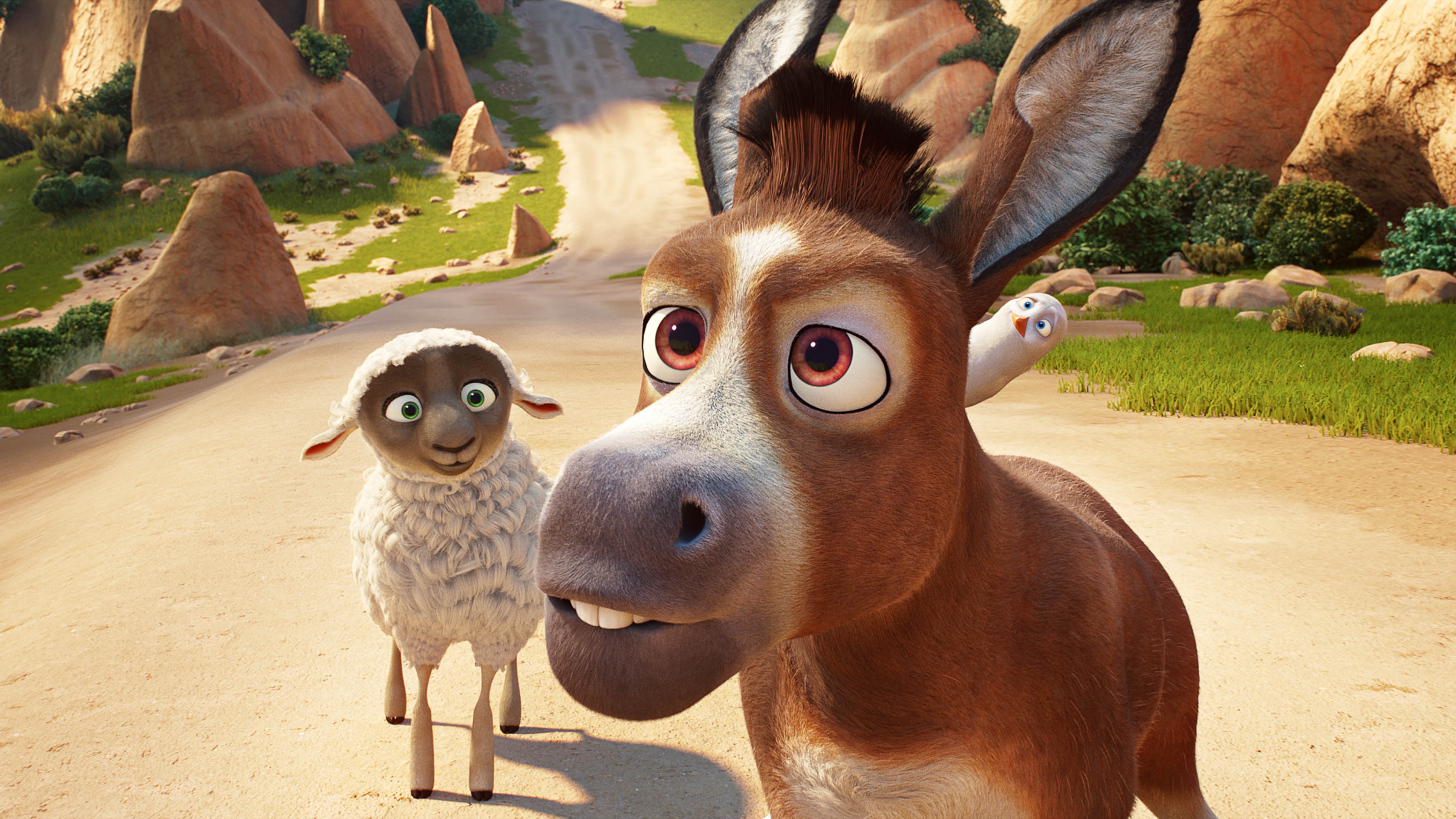 The Star, sheep, donkey, 4k, HD Wallpaper