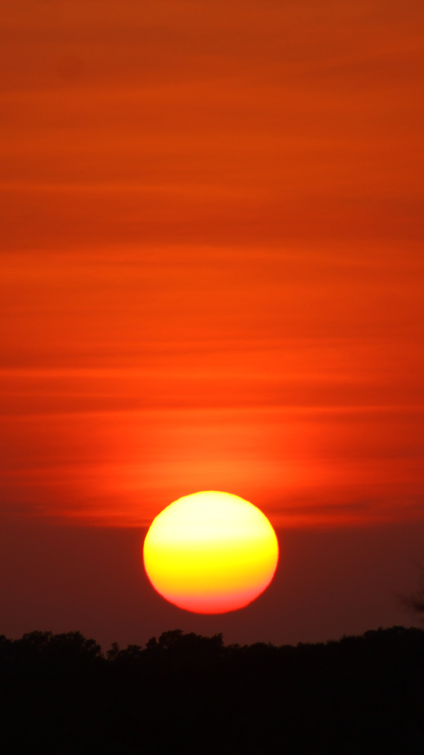 Earth Sunset, 1440x2560, Phone HD Wallpaper