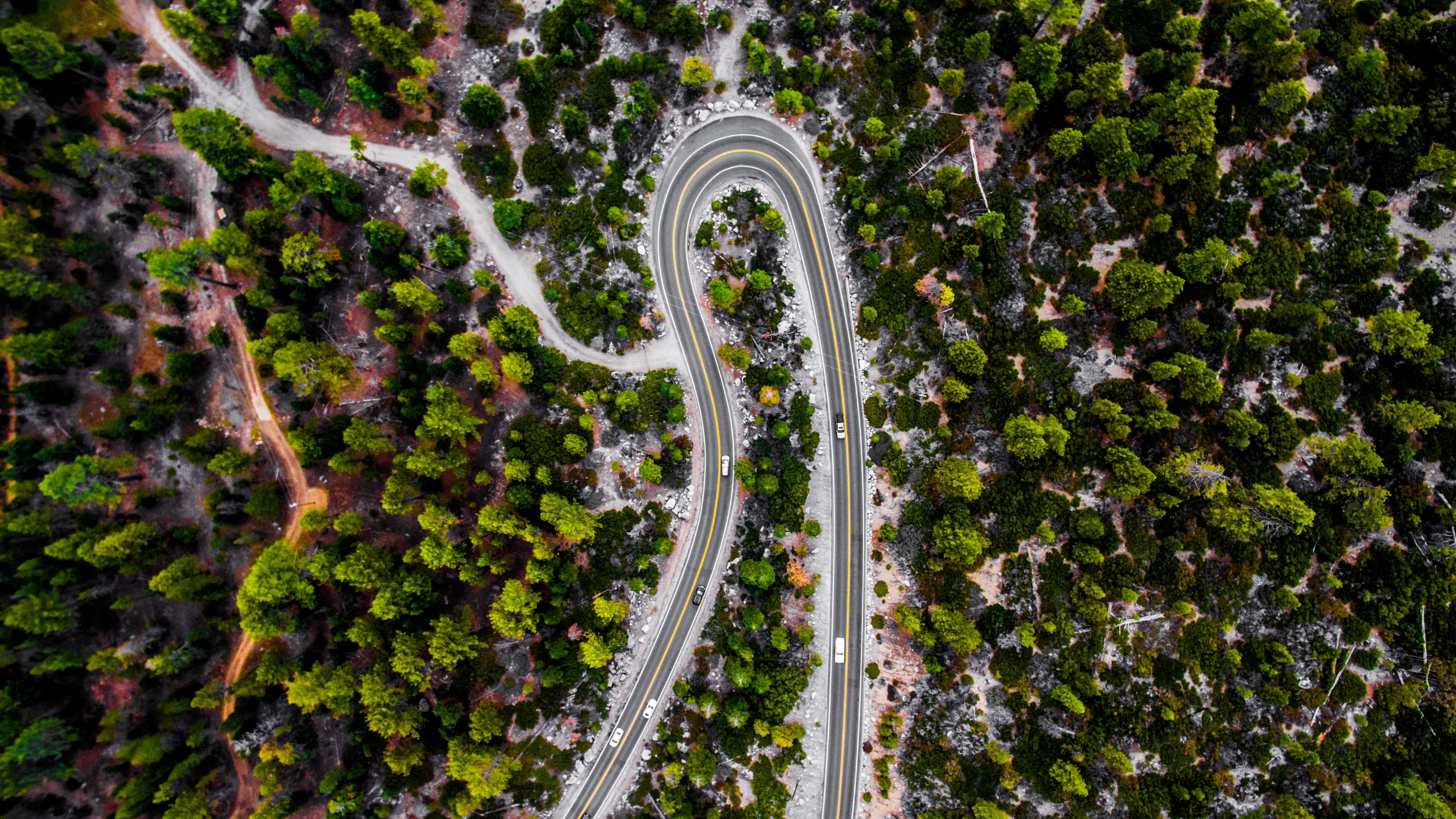 road, forest, trees, aerial view, 4k, HD Wallpaper
