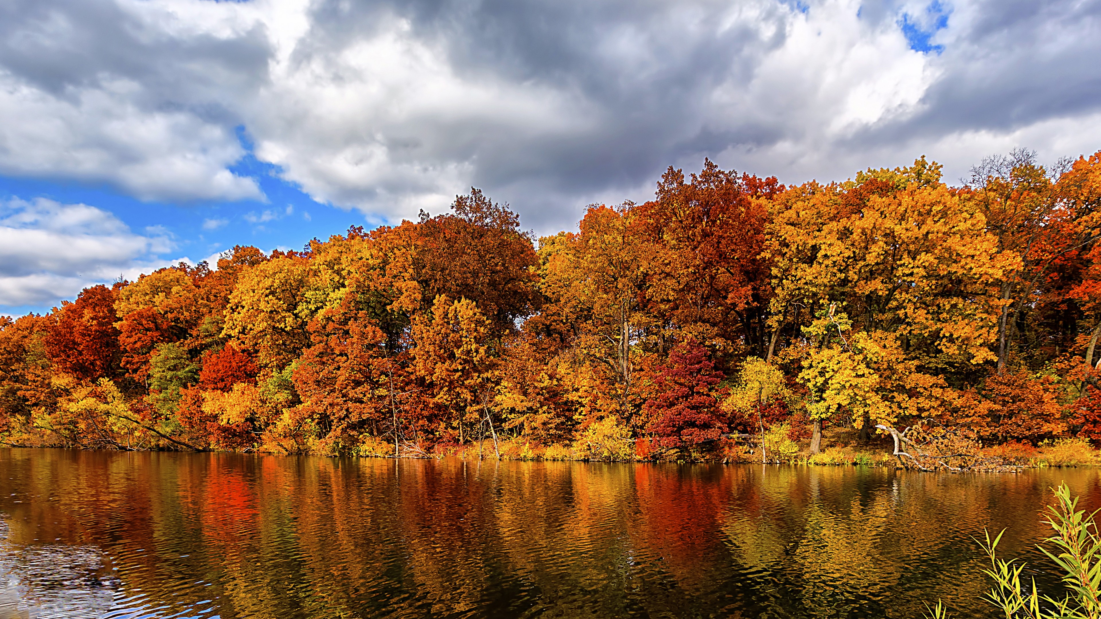 autumn, forest, lake, 4K, HD Wallpaper