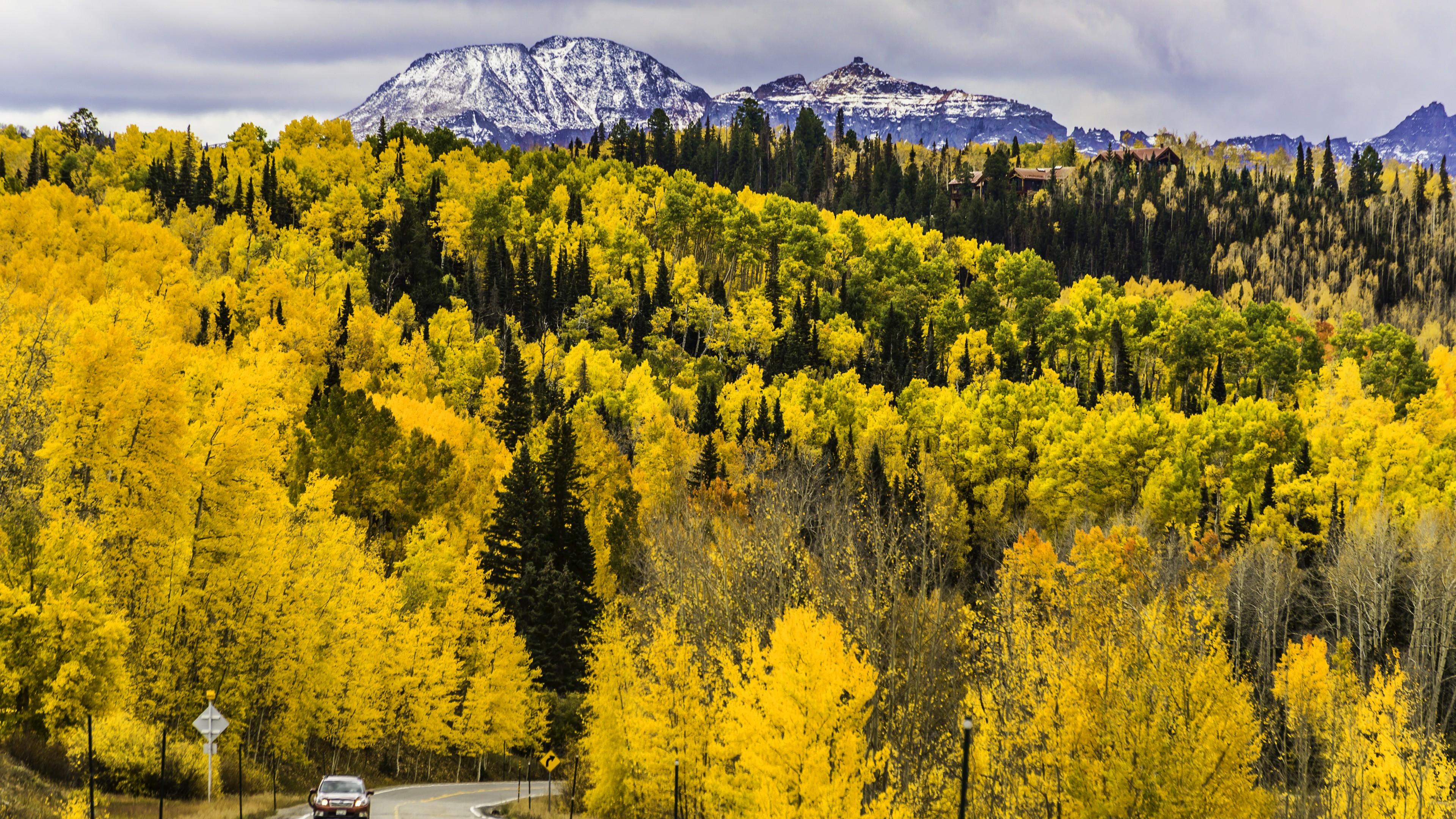 autumn, forest, trees, mountains, road, Colorado, USA, 4K, HD Wallpaper