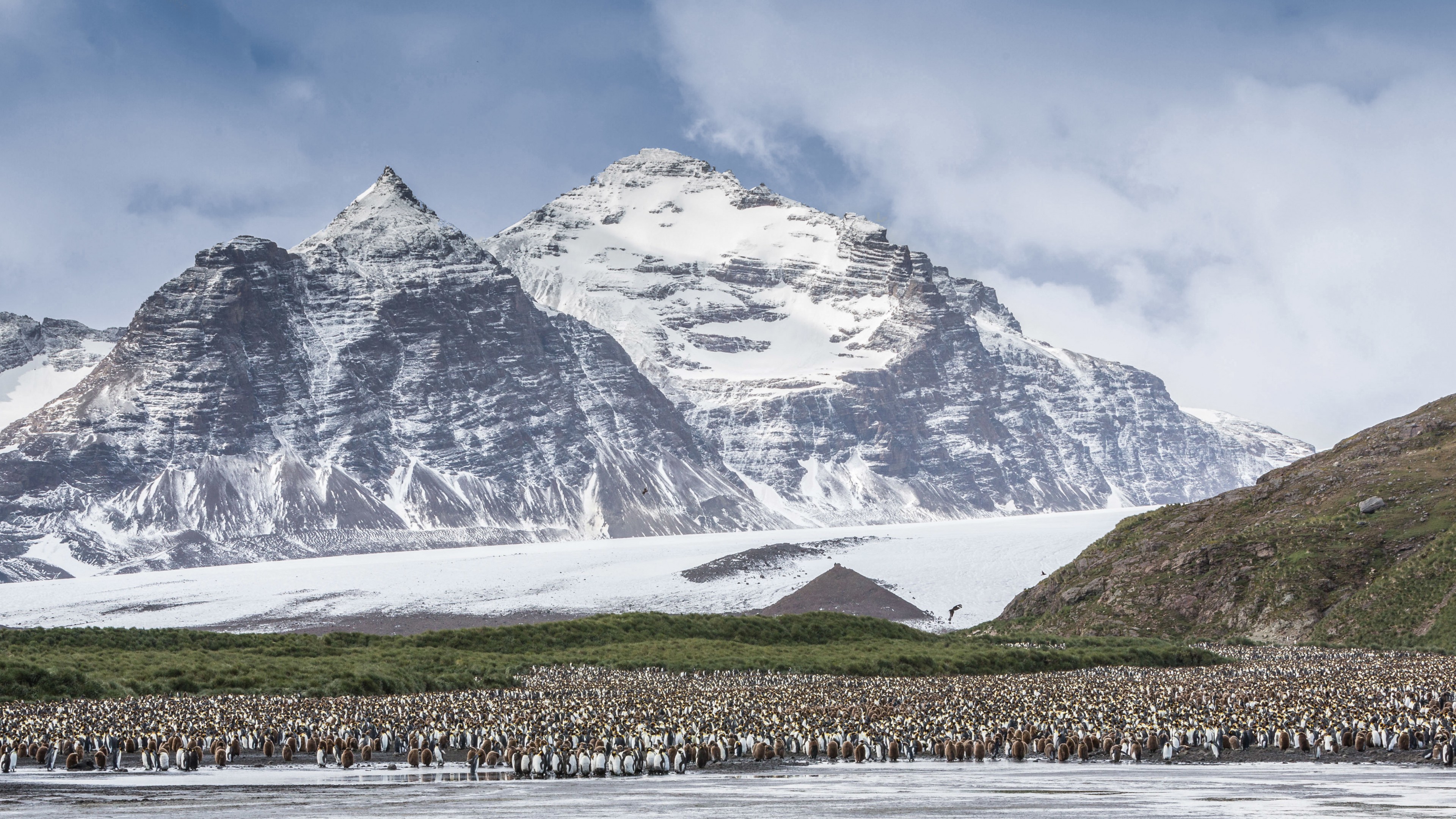 Antarctica, mountains, penguins, 4K, HD Wallpaper