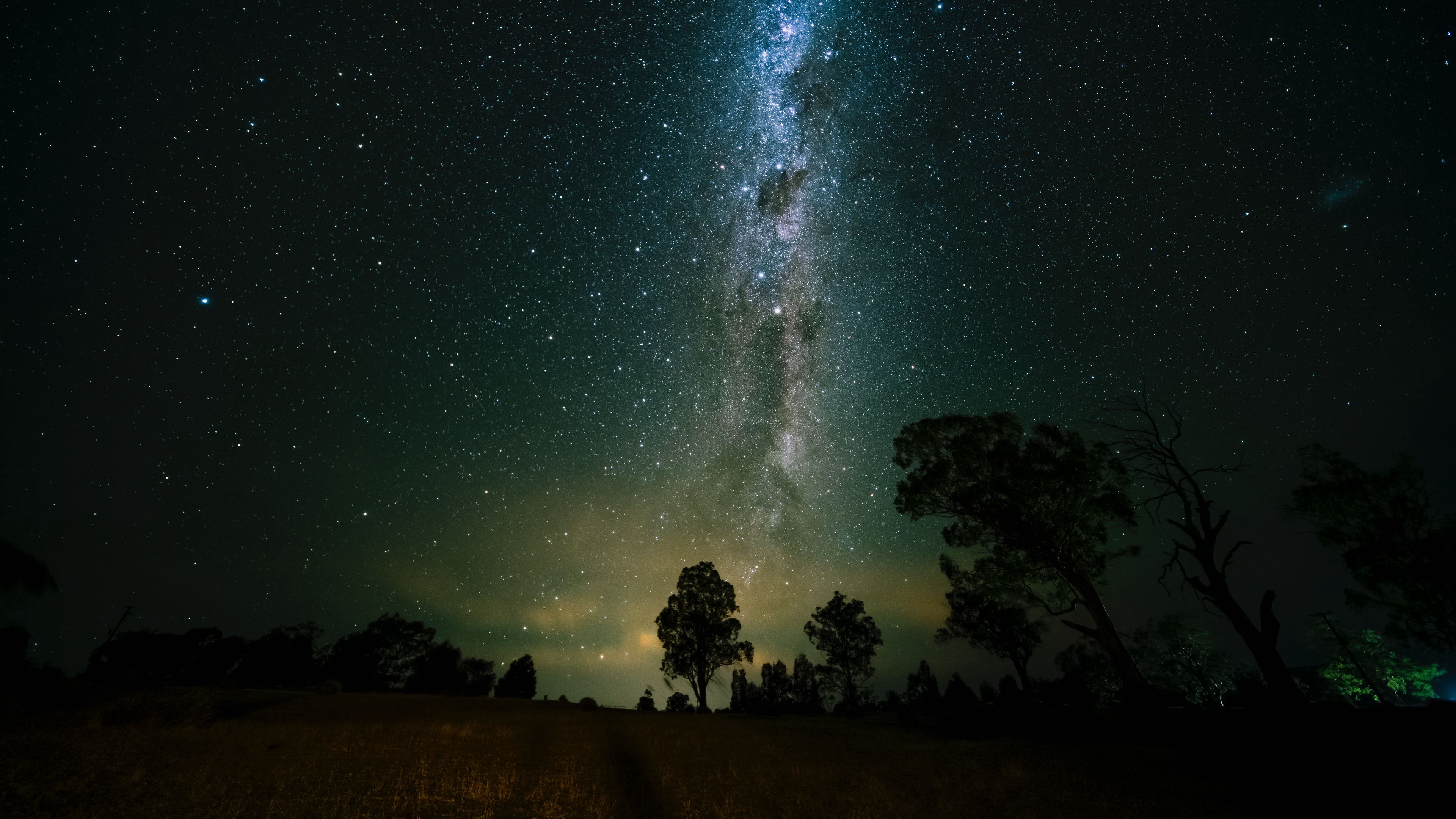 space, trees, starry sky, 4k, HD Wallpaper