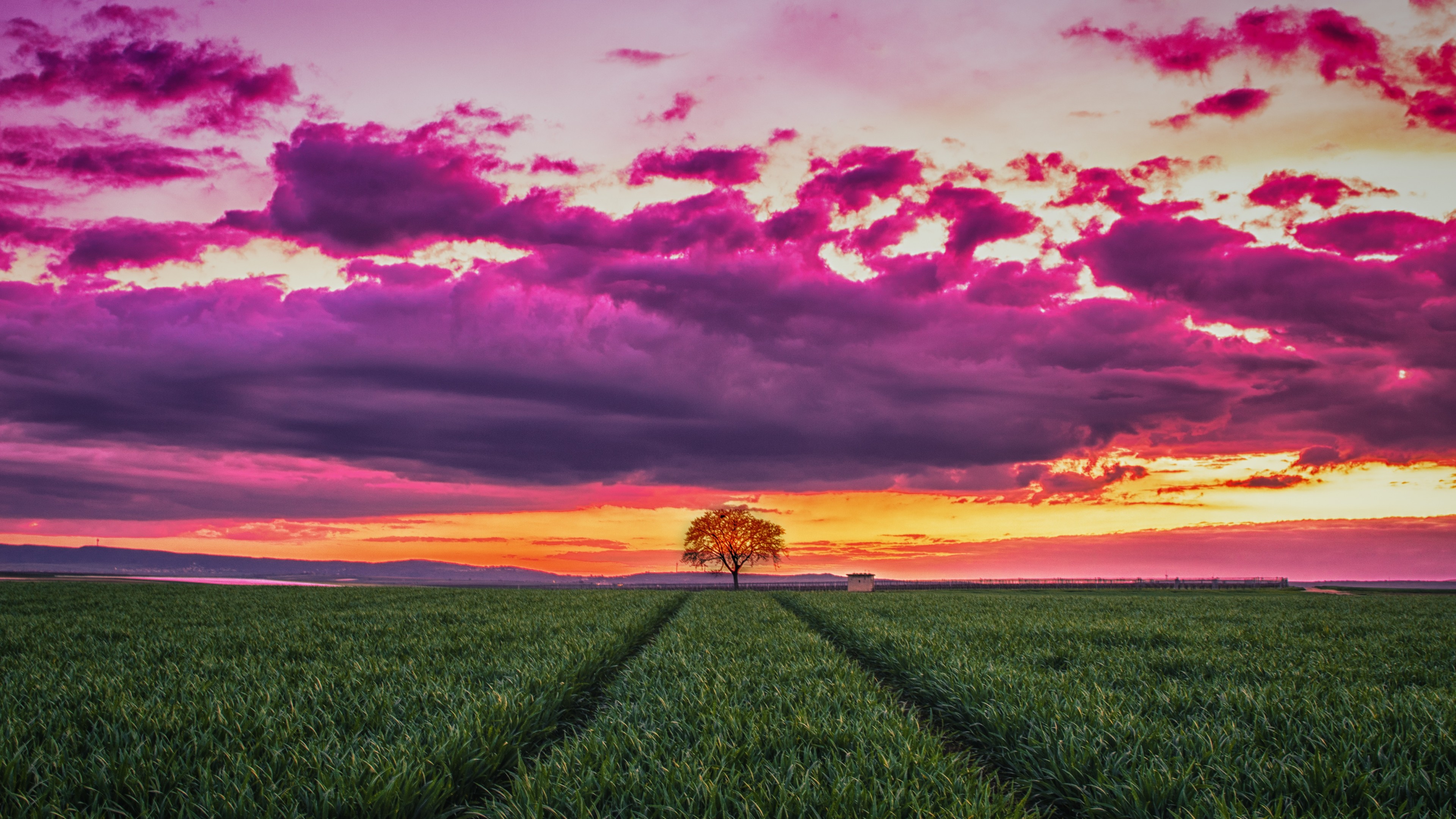 sunset, field, grass, sky, clouds, 4k, HD Wallpaper