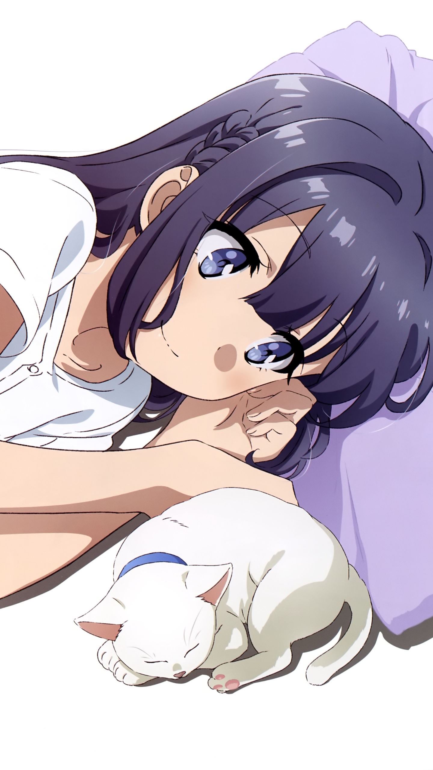 Anime Rascal Does Not Dream of Bunny Girl Senpai, Shoko