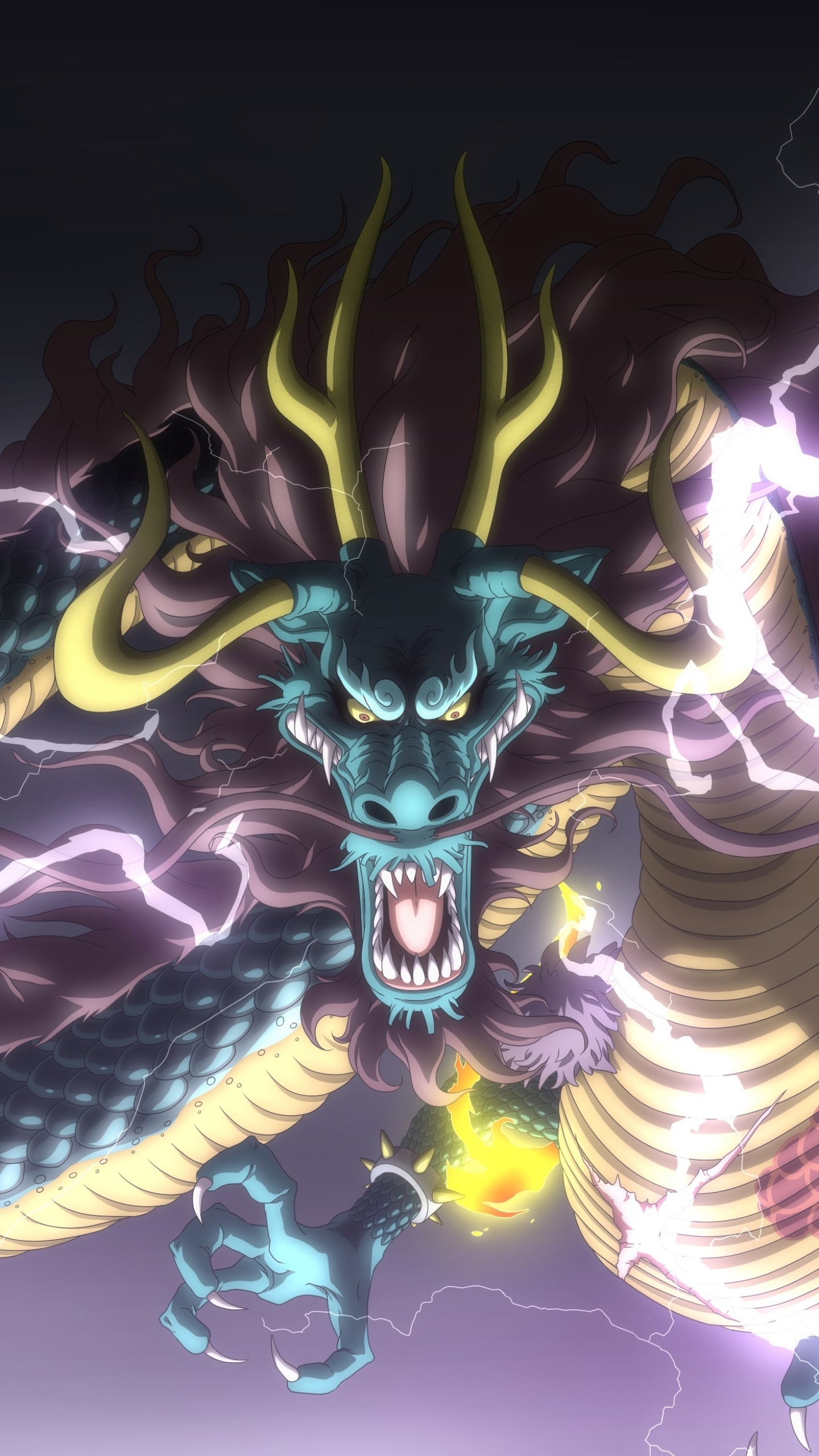Anime One Piece, Kaido (One Piece), 1440x2560, Phone HD Wallpaper