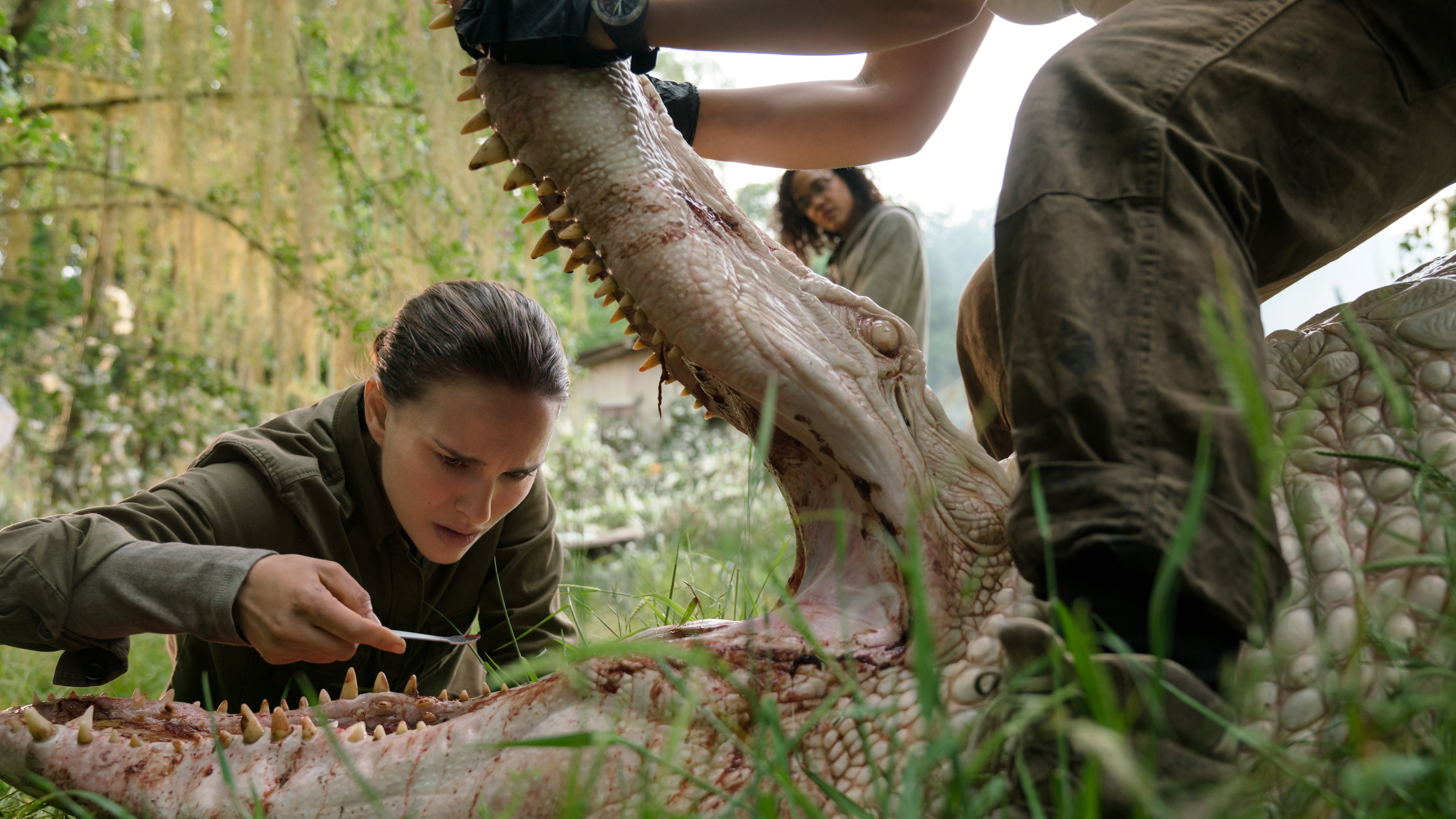 Annihilation, Natalie Portman, 4K, HD Wallpaper
