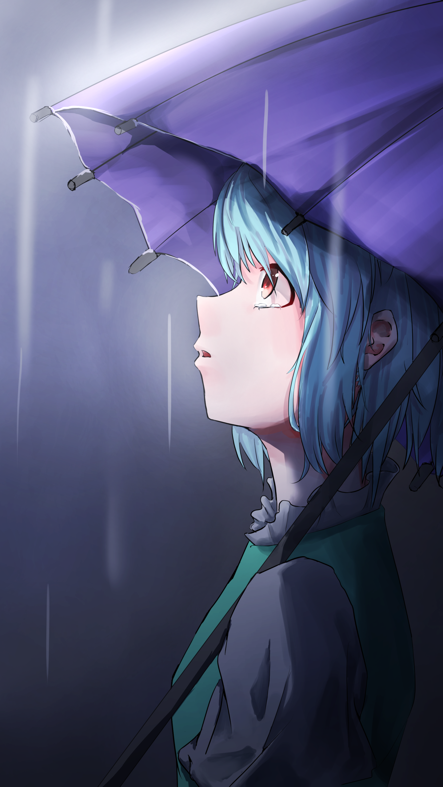 Anime Touhou, Kogasa Tatara, 1440x2560, Phone HD Wallpaper