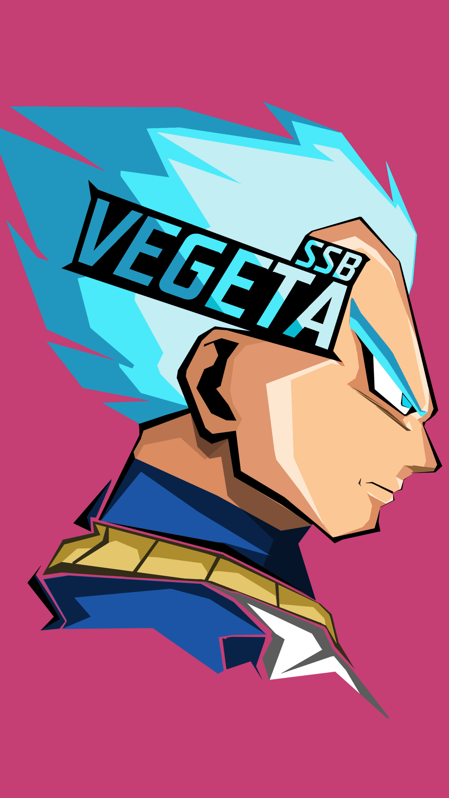 Anime Dragon Ball Super, Vegeta (Dragon Ball), Super Saiyan Blue, 1440x2560, Phone HD Wallpaper
