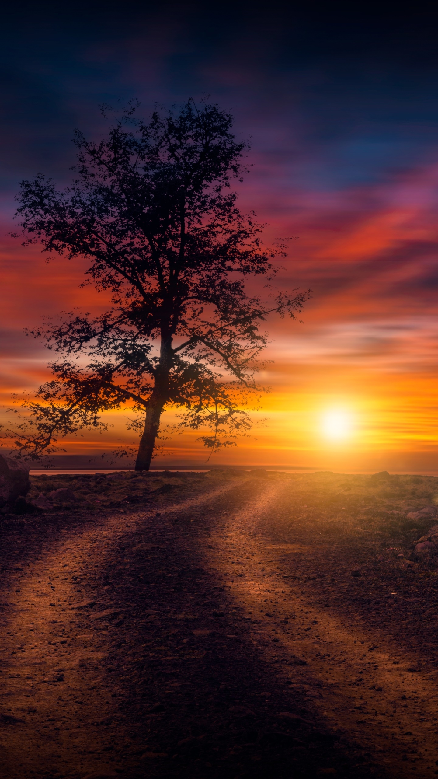 Earth Sunset, Sky, Tree, Dirt Road, Nature, 1440x2560, Phone HD Wallpaper