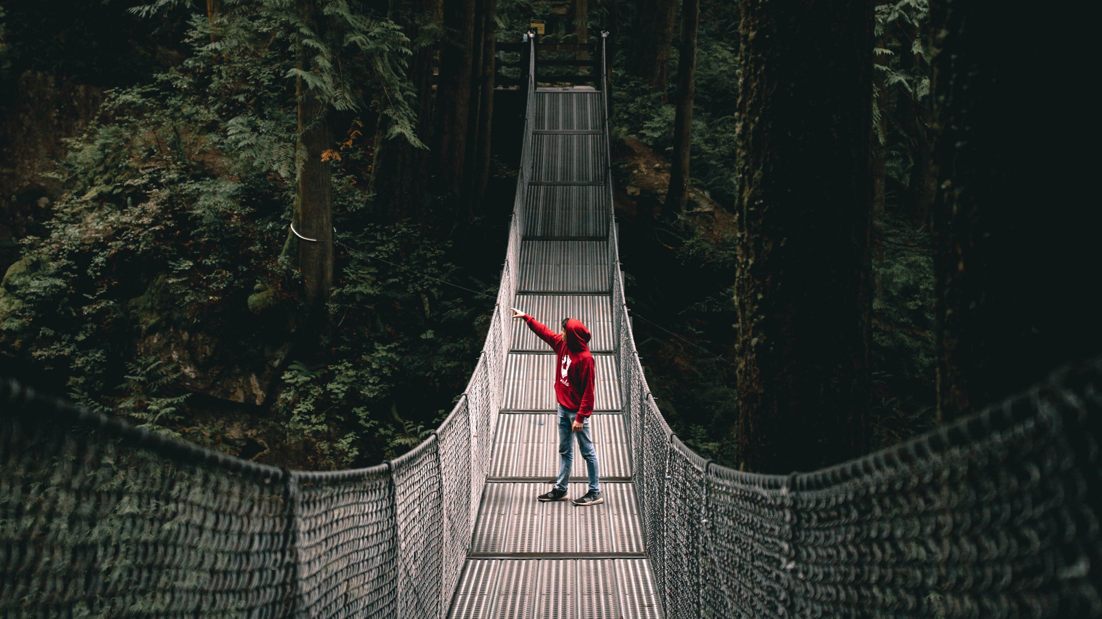 lonely, loneliness, bridge, forest, 4k, HD Wallpaper