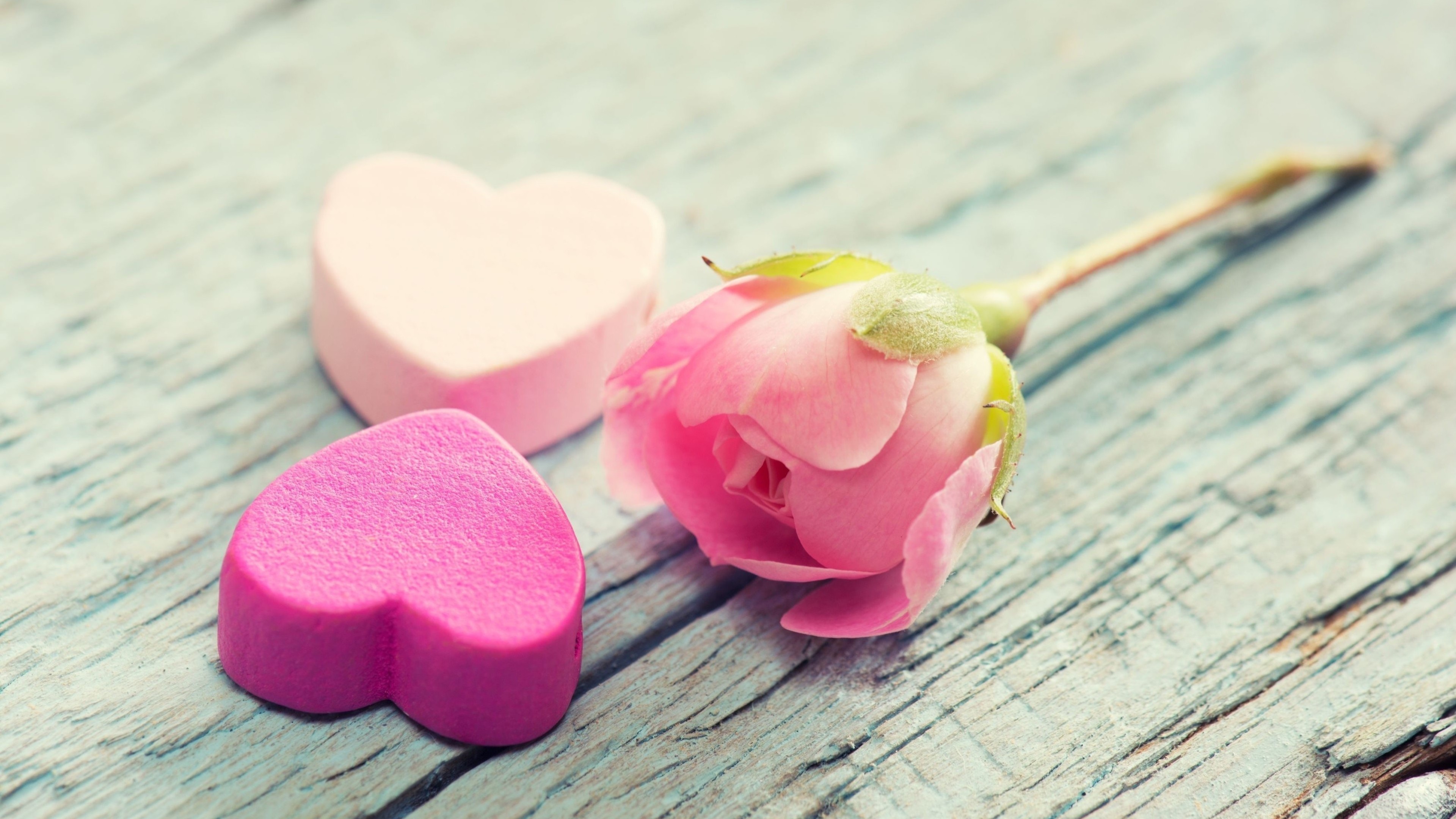 love image, heart, rose, flower, 4k, HD Wallpaper