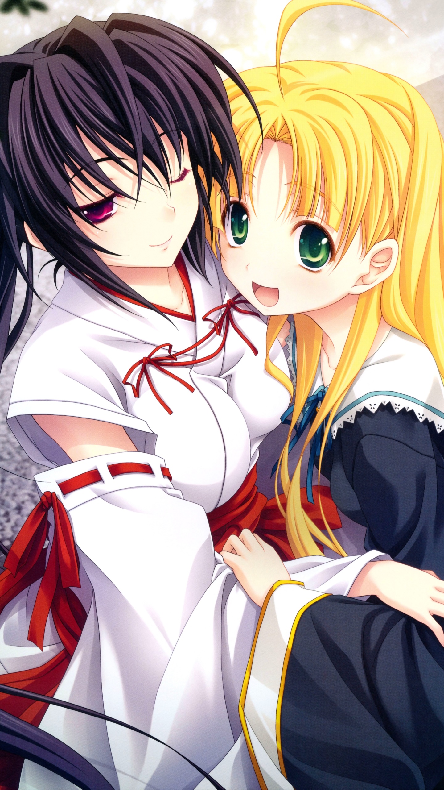 Anime High School DxD, 1440x2560, Phone HD Wallpaper
