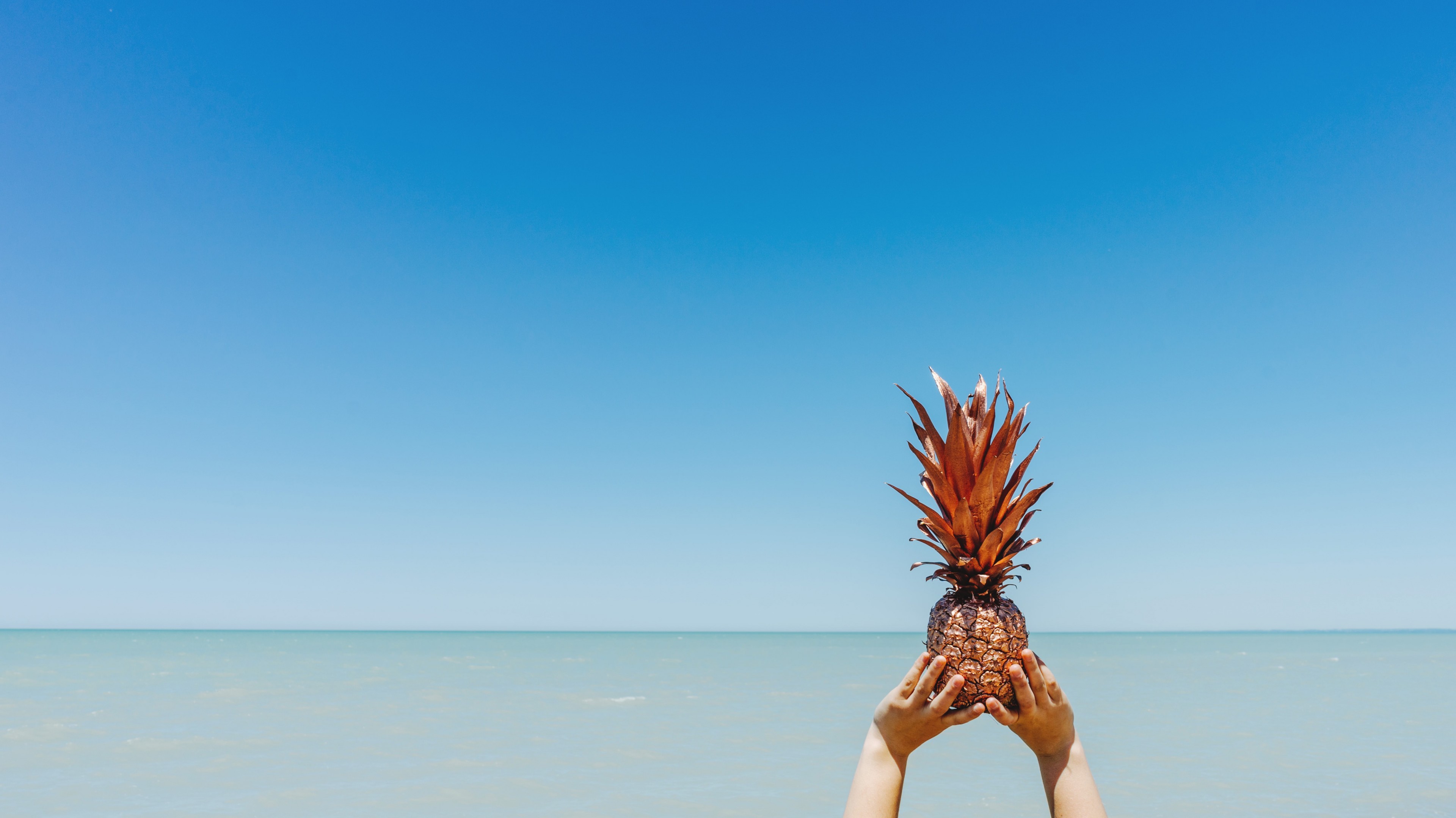 pineapple, sky, ocean, 4K, HD Wallpaper