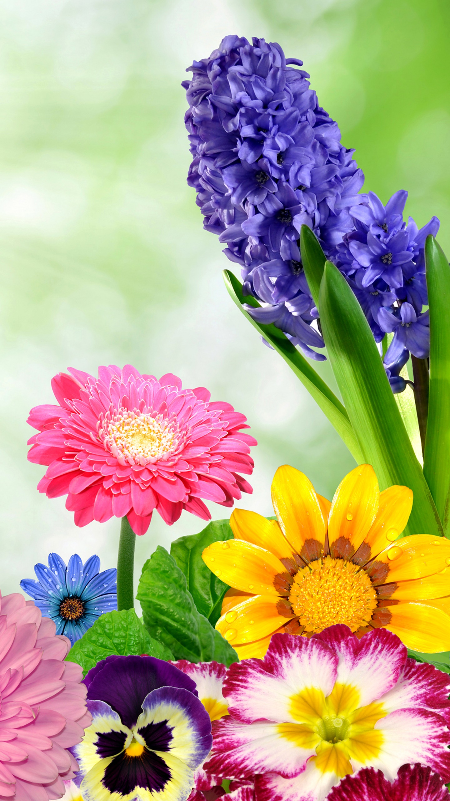 Artistic Flower, Colorful, Purple Flower, Pink Flower, Colors, Orange Flower, 1440x2560, Phone HD Wallpaper