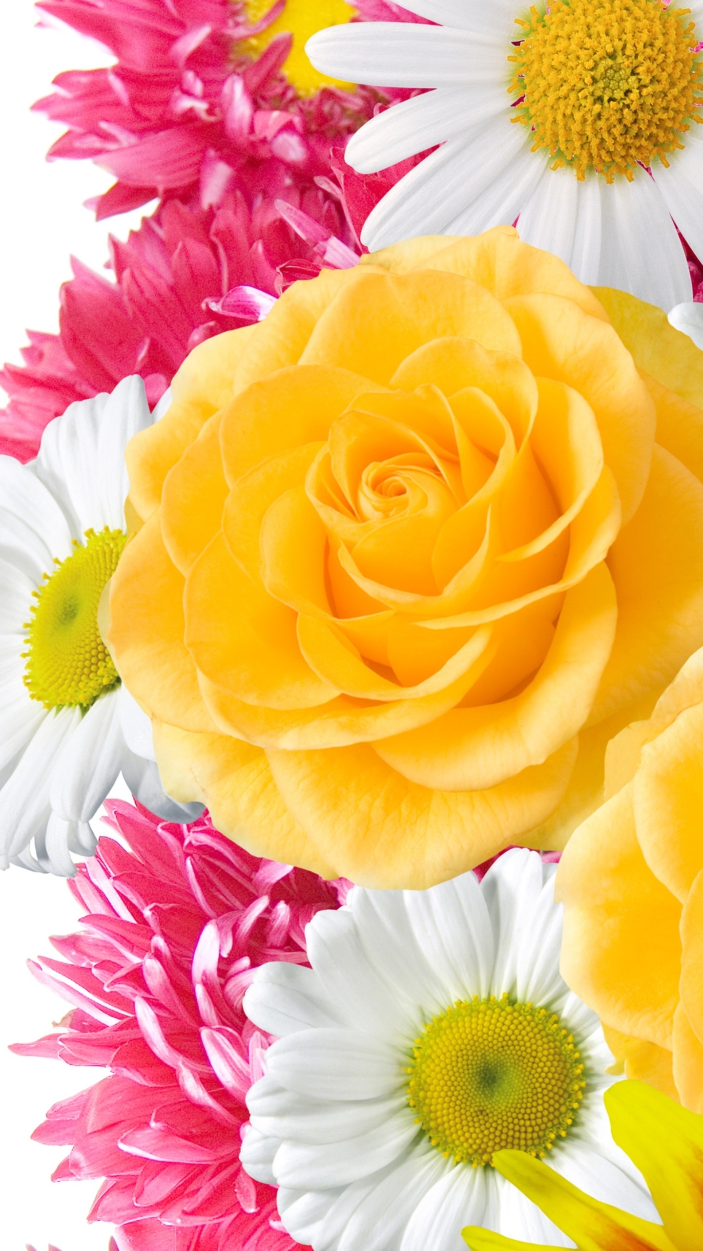 Earth Flower, Earth, Colors, Pink Flower, Spring, White Flower, 1440x2560, Phone HD Wallpaper