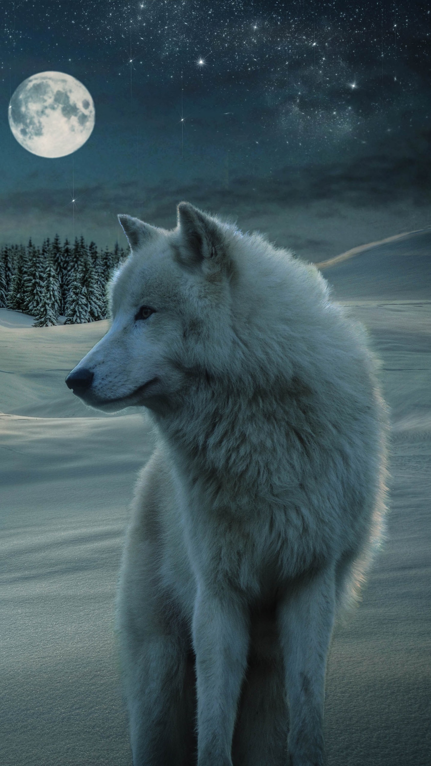 Animal Wolf, House, Night, Moon, Snow, Starry Sky, 1440x2560, Phone HD Wallpaper