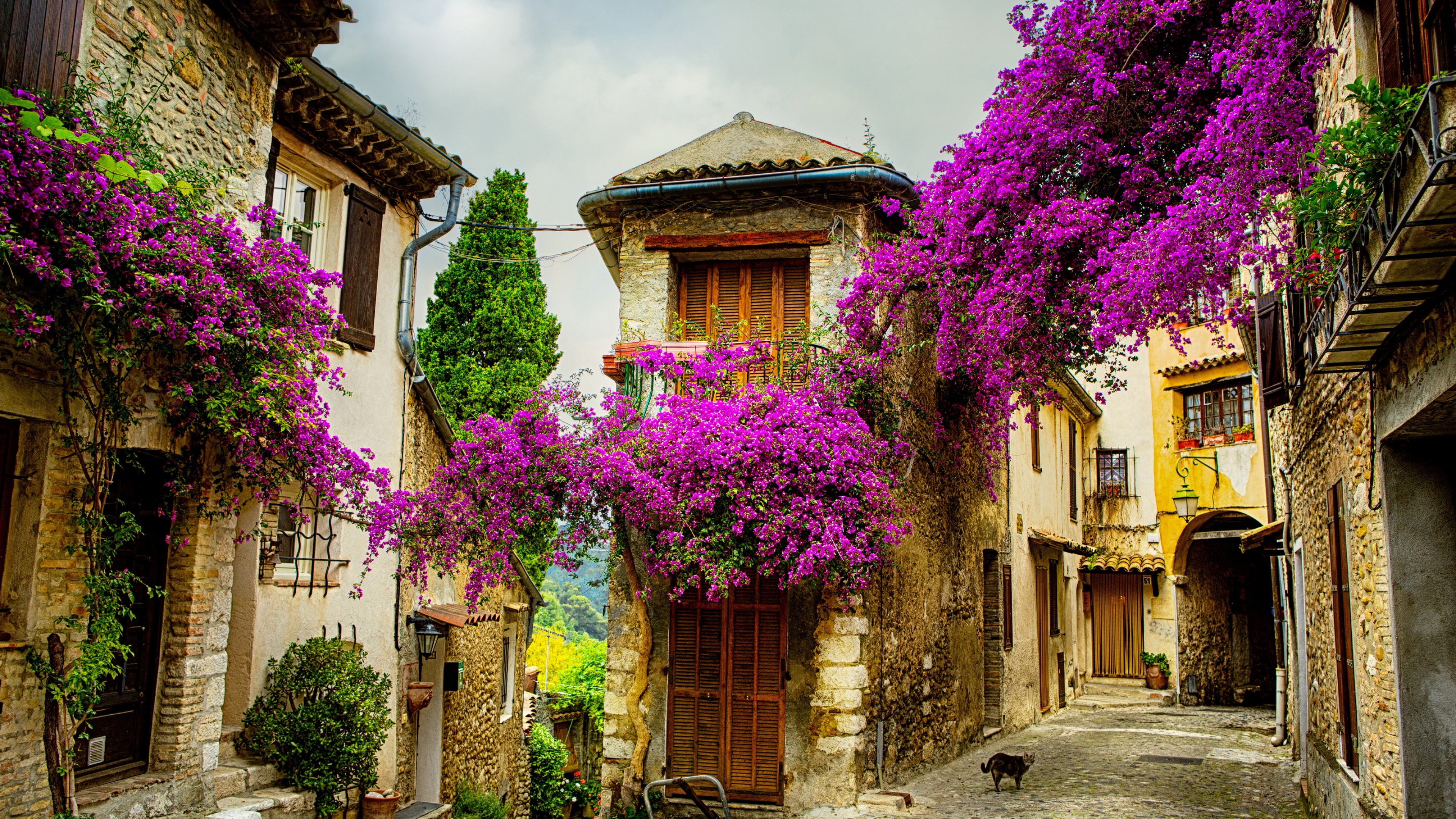 Provence, France, Tourism, Travel, HD Wallpaper