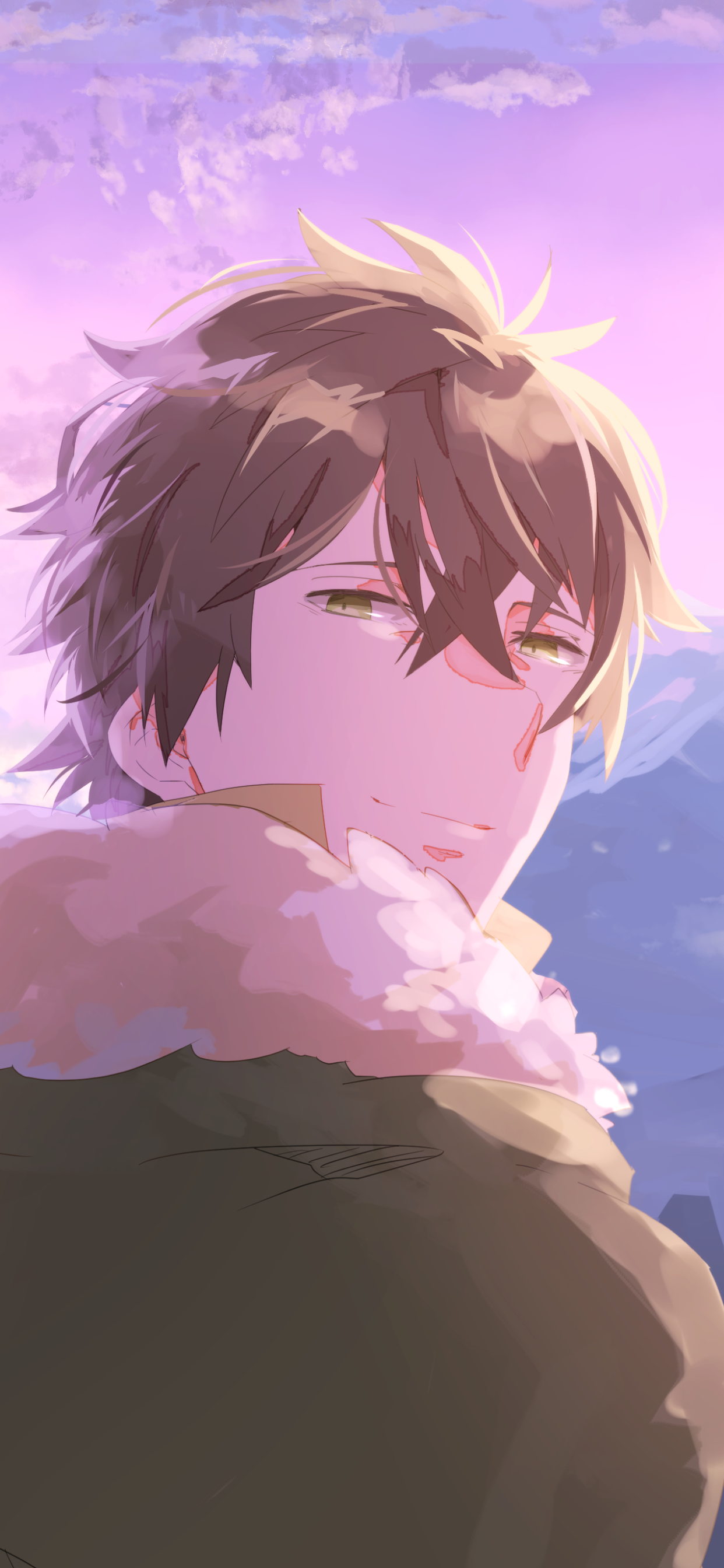 Anime The Rising of the Shield Hero, Naofumi Iwatani, 1242x2688, Phone HD Wallpaper