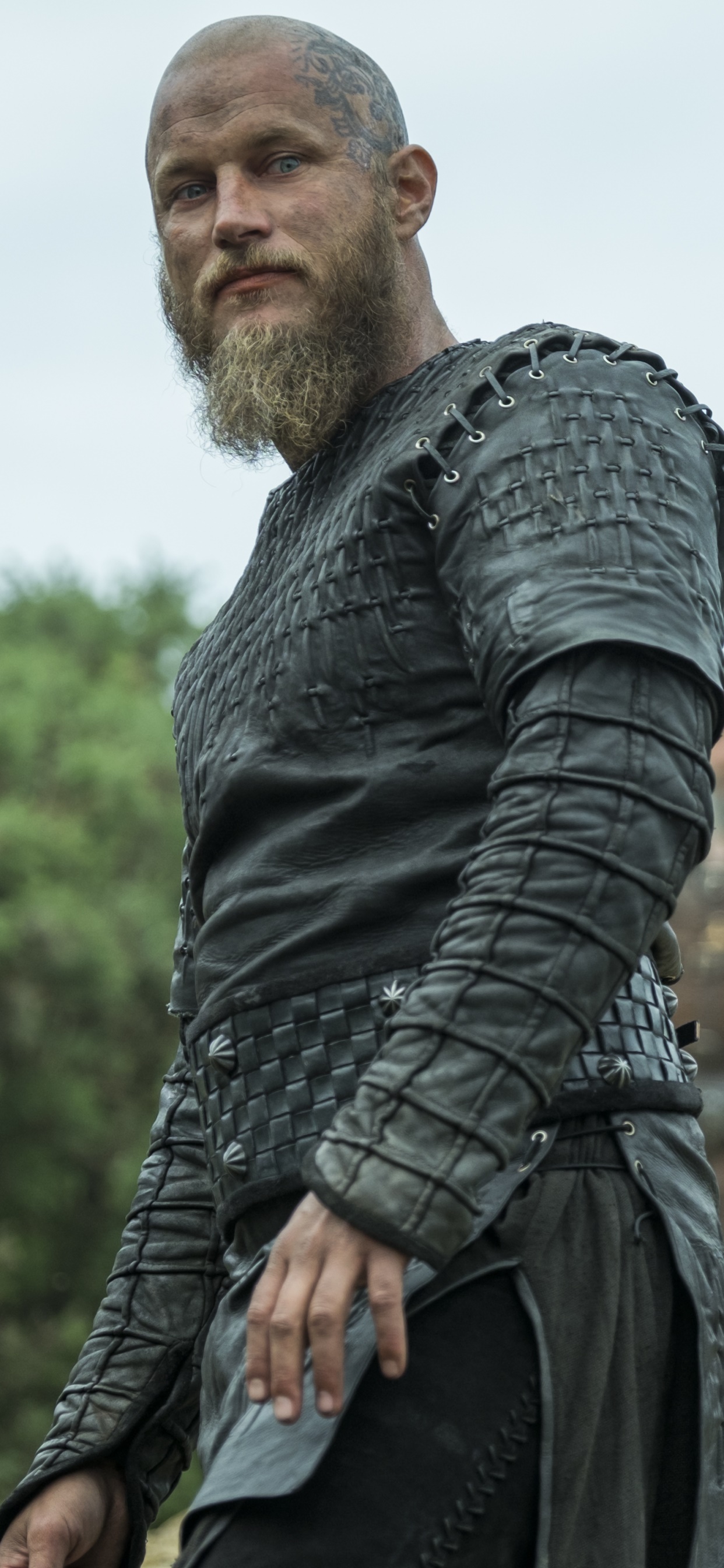 TV Show Vikings, 1242x2688, Phone HD Wallpaper