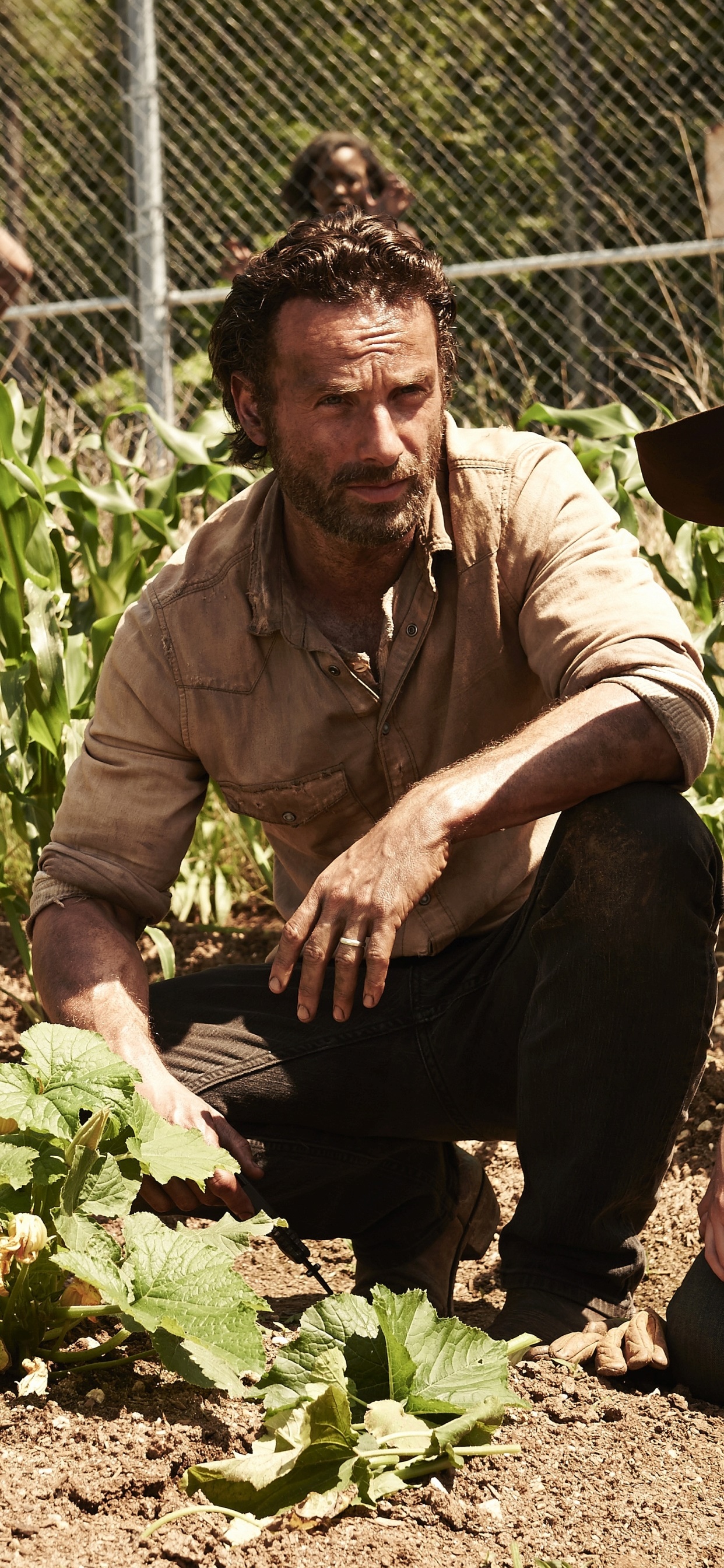 TV Show The Walking Dead, Andrew Lincoln, Rick Grimes, 1242x2688, Phone HD Wallpaper