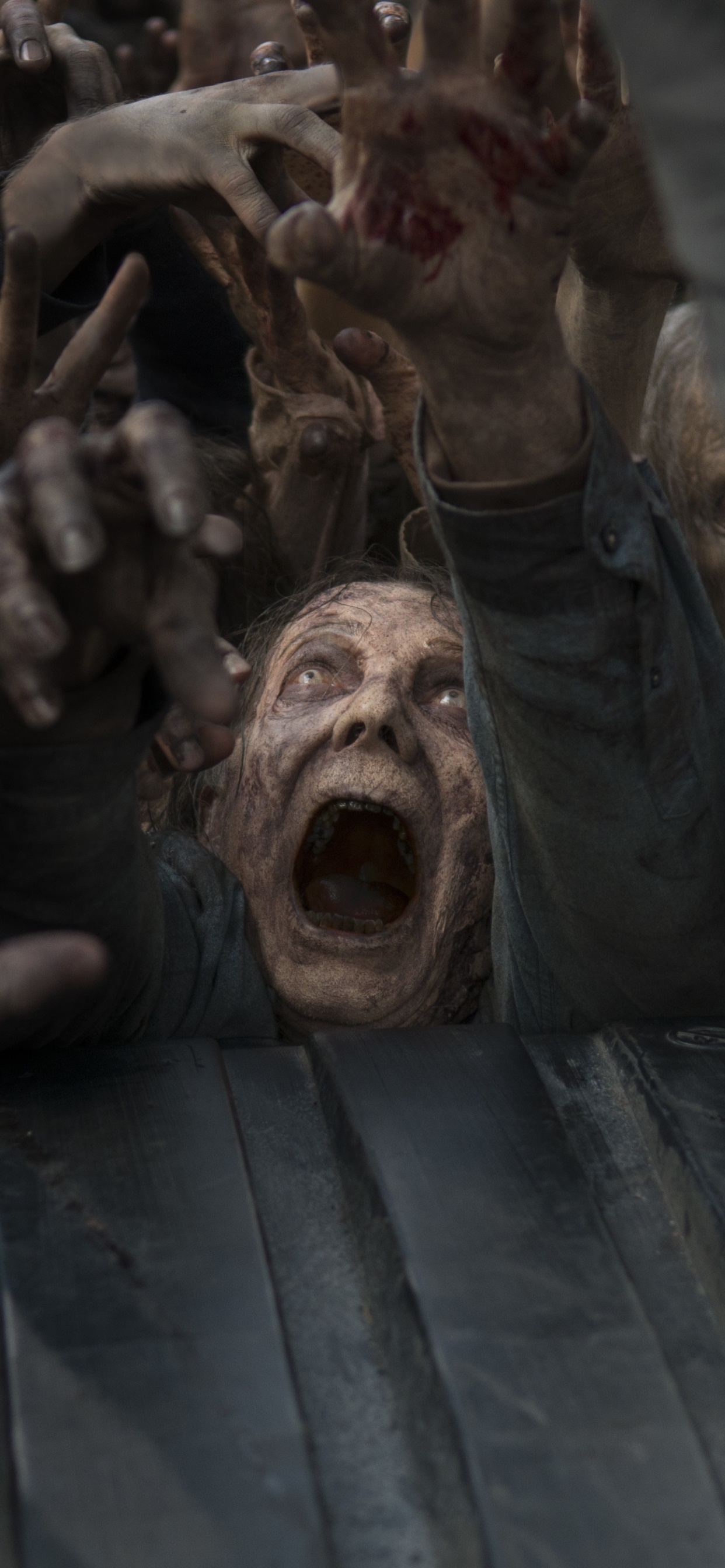 TV Show The Walking Dead, 1242x2688, Phone HD Wallpaper