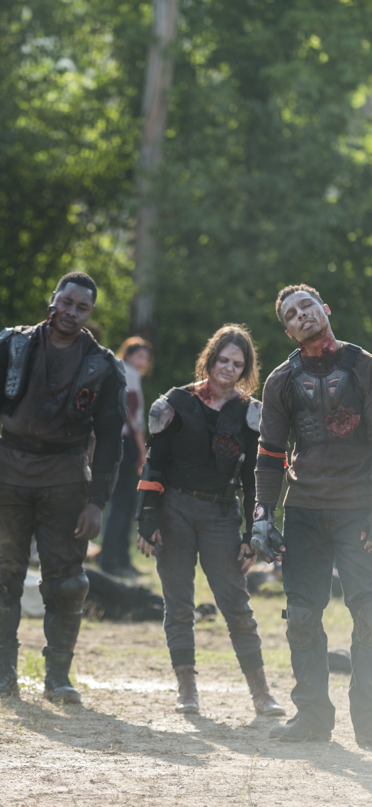 TV Show The Walking Dead, 1242x2688, Phone HD Wallpaper