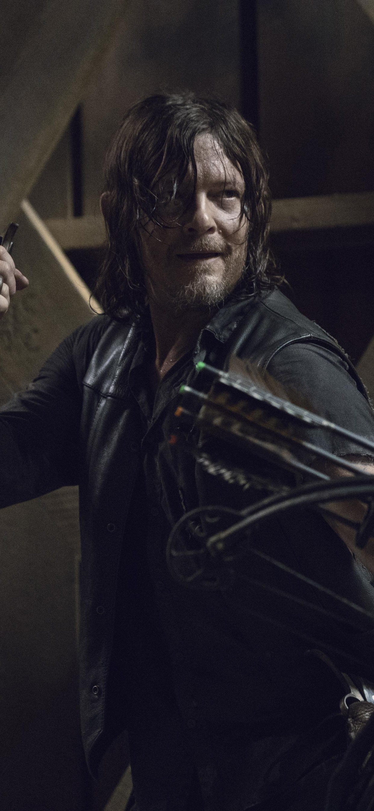 TV Show The Walking Dead, Daryl Dixon, Norman Reedus, 1242x2688, Phone HD Wallpaper
