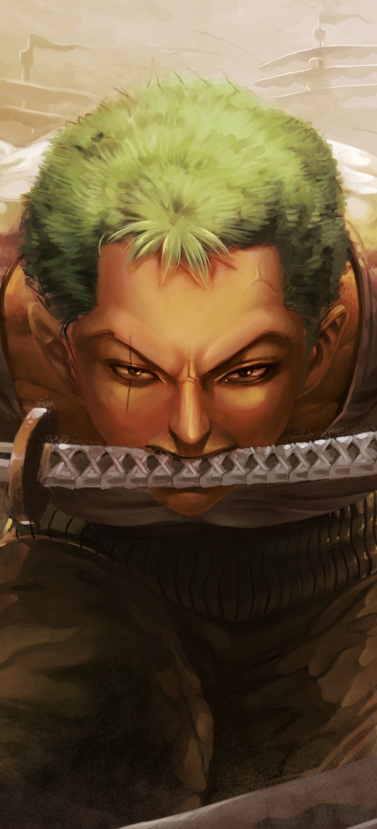 Anime One Piece, Roronoa Zoro, 1228x2700, Phone HD Wallpaper