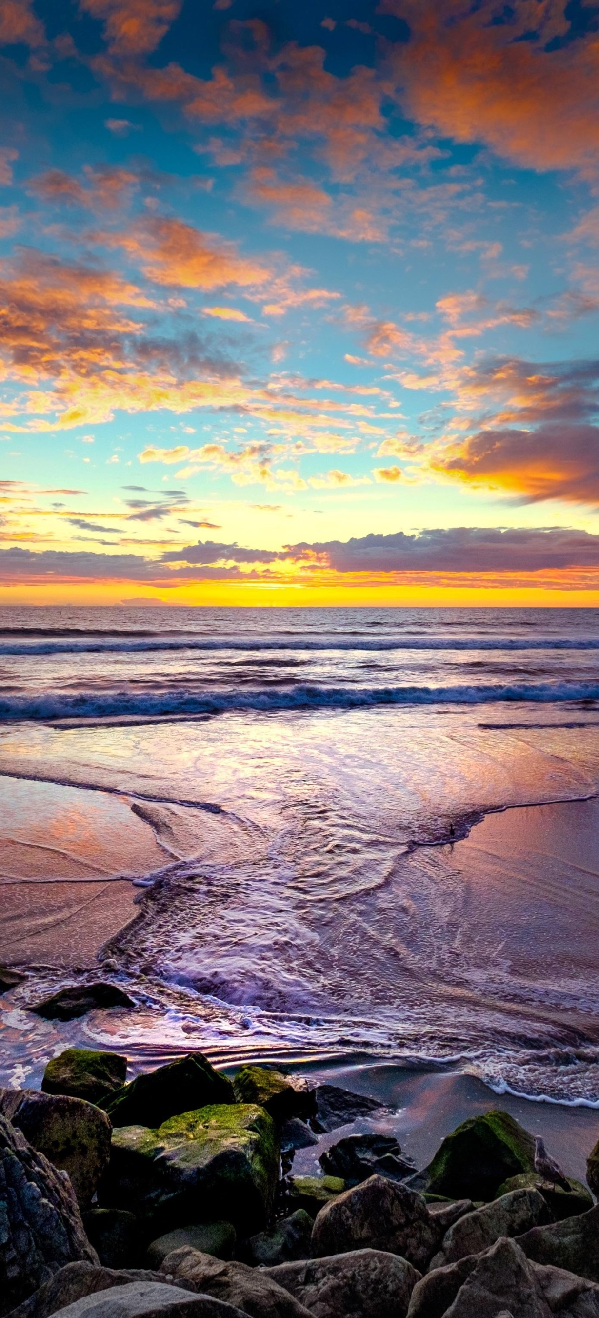 Earth Ocean, Sunset, Horizon, Sky, 1228x2700, Phone HD Wallpaper