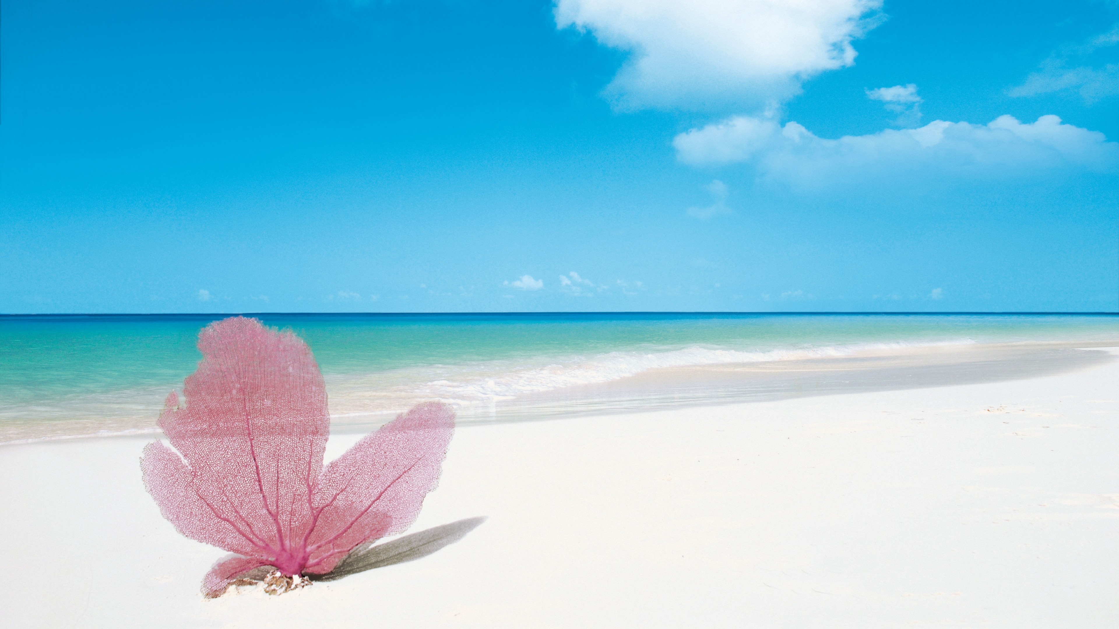 Playa Paraiso, Cayo Largo, Cuba, Best beaches of 2016, Travellers Choice Awards 2016, HD Wallpaper