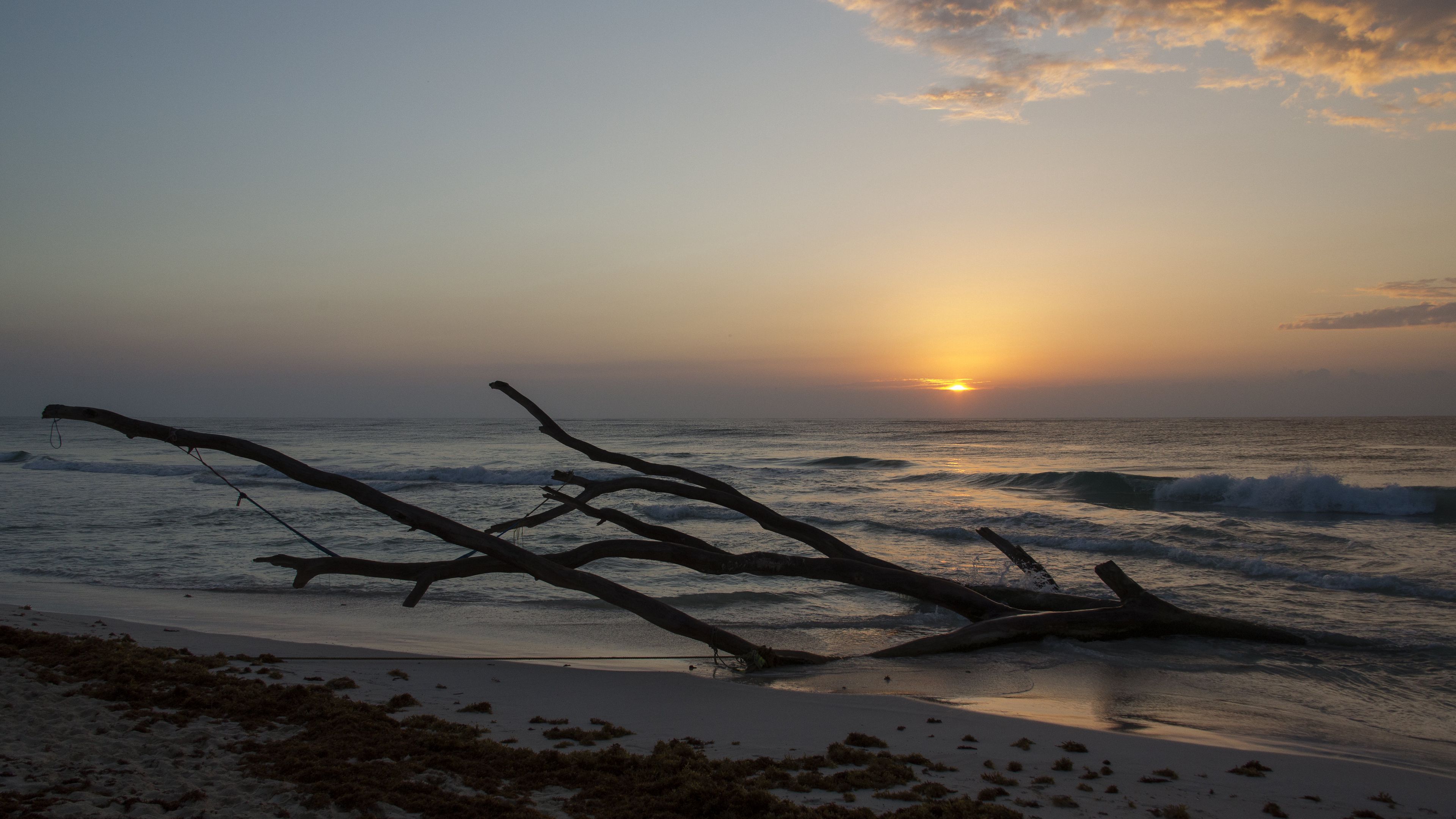 horizon, driftwood, sun, sky, 4k, HD Wallpaper