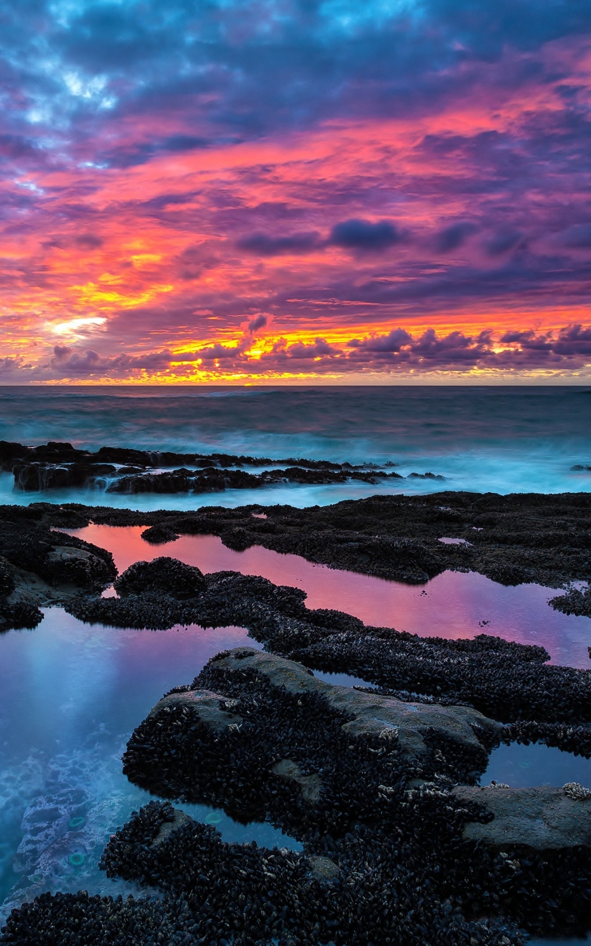 Earth Sunset, Sea, Sky, Ocean, 1200x1920, Phone HD Wallpaper