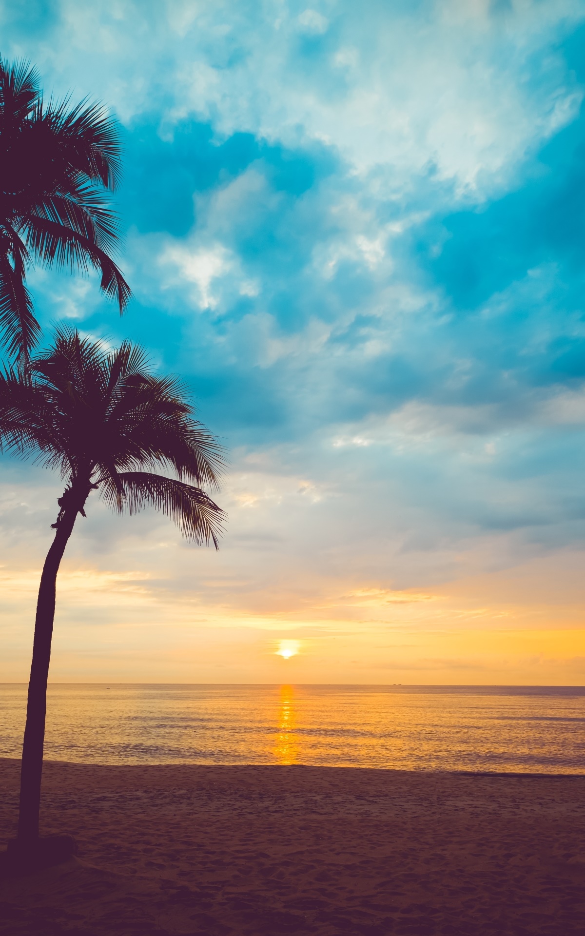 Earth Ocean, Nature, Cloud, Palm Tree, Horizon, 1200x1920, Phone HD Wallpaper