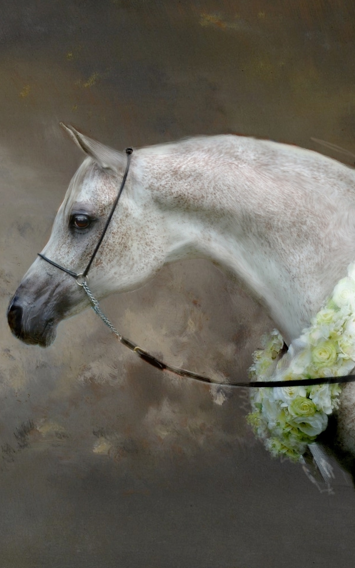 Animal Horse, 1200x1920, Phone HD Wallpaper
